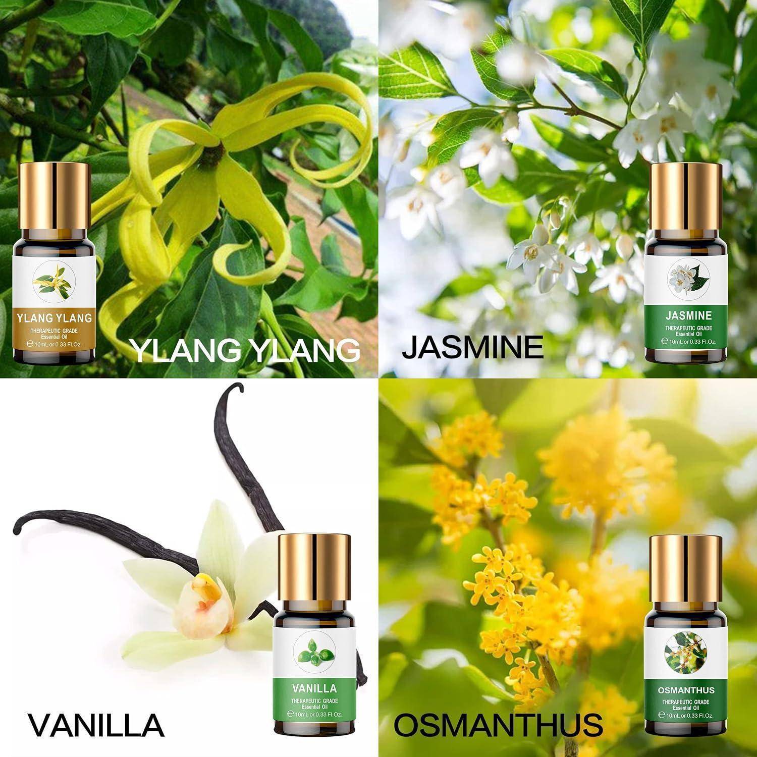 Vierpanel-Produktcollage von ätherischen Ölen mit den Bezeichnungen Ylang Ylang, Jasmin, Vanille und Osmanthus, jeweils mit der entsprechenden Blüte dargestellt.