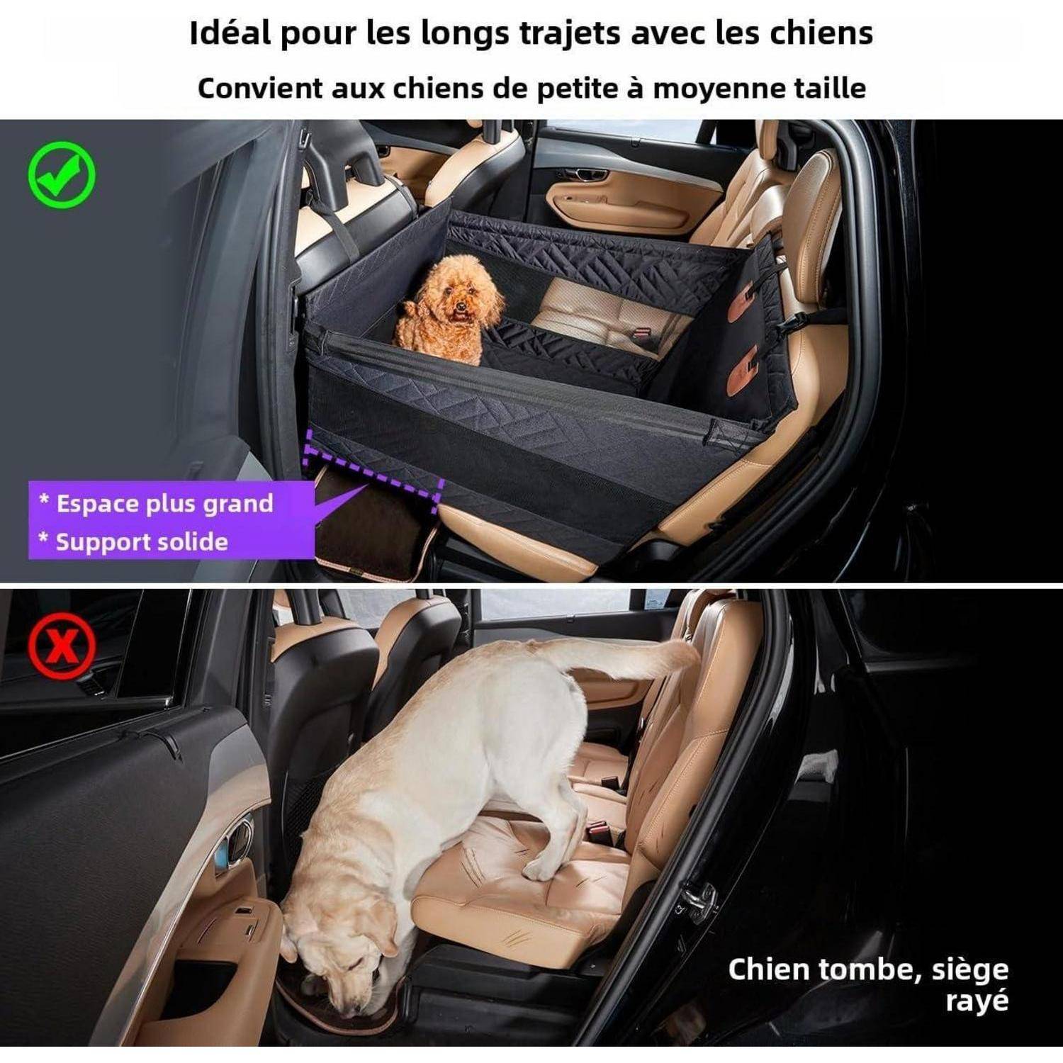 Vergleich von Hunde-Autositzanordnungen: Oben ist ein kleiner Hund sicher auf dem gesicherten Rücksitz mit „großem Platz