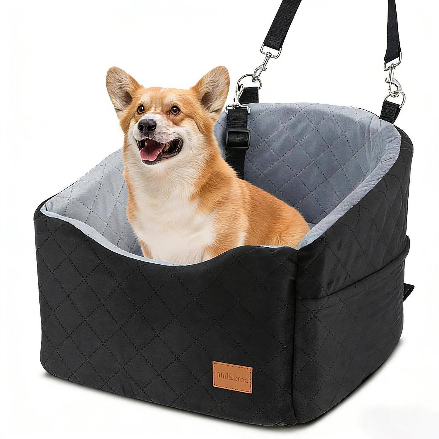 Ein kleiner Corgi sitzt in einem gesteppten schwarz-grauen Autositz oder einer Sitzerhöhung für Haustiere mit hängenden Riemen auf weißem Hintergrund.
