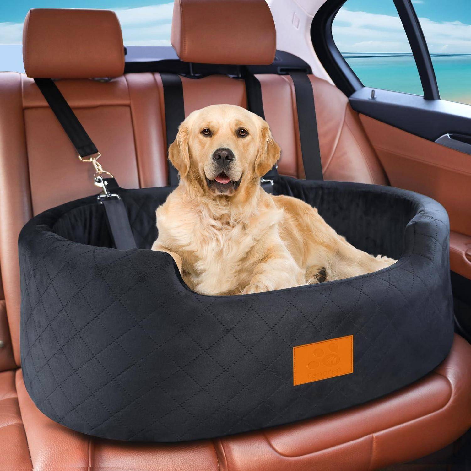 Golden Retriever, der auf einem schwarzen Autositz-Booster-Bett auf der Rückbank sitzt, gesichert mit einem Sicherheitsgurt.