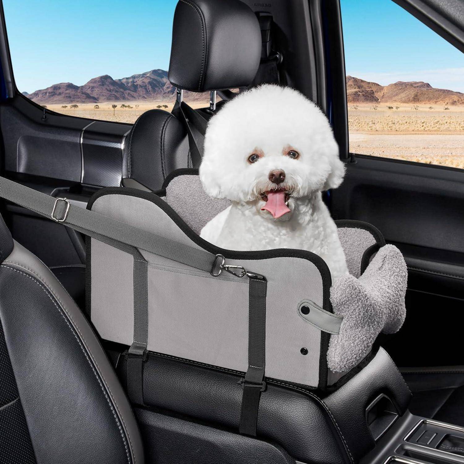 Kleiner weißer Hund, der in einem grauen Autositz für Haustiere auf der Rückbank eines Fahrzeugs sitzt, mit einer Wüstenlandschaft außerhalb des Fensters.