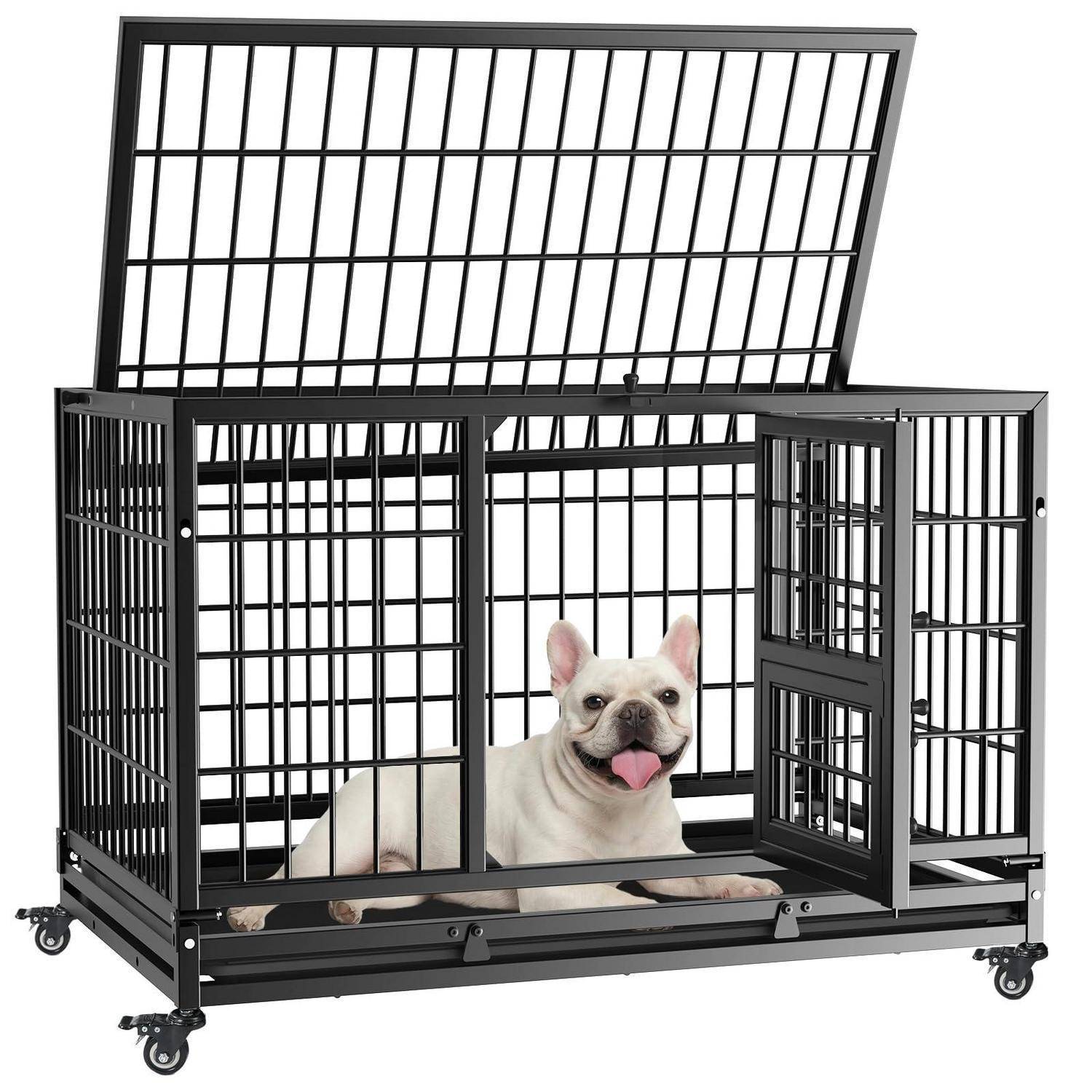 Weißer französischer Bulldogge, der in einer schwarzen Draht-Hundebox mit offener Oberseite und offener Fronttür auf Rollen liegt.