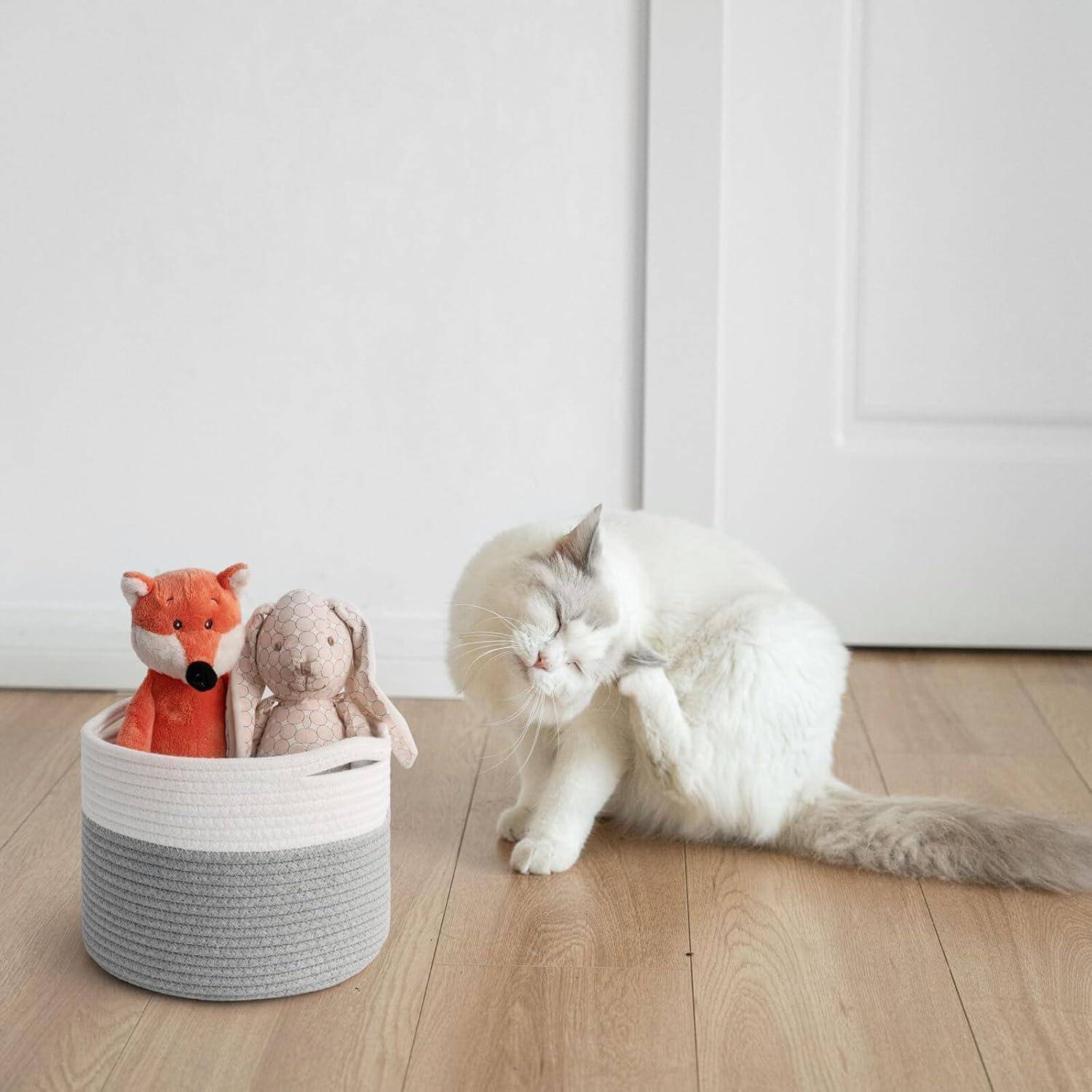 Weiße Katze, die sich neben einem grau-weißen Aufbewahrungskorb kratzt, der zwei Plüschtiere auf einem Holzboden hält.