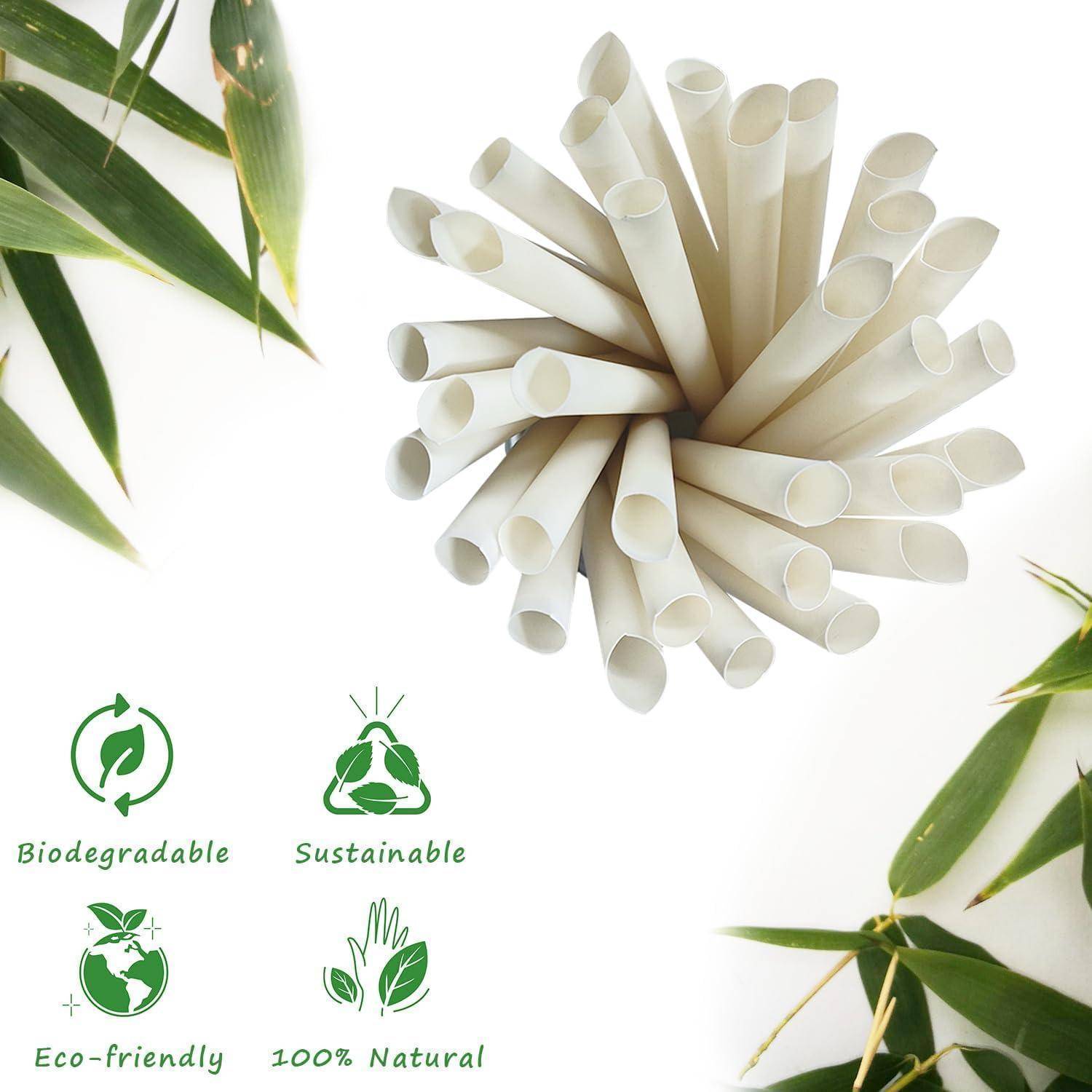 Umweltfreundliche Produktgrafik mit einem Bündel weißer Papiersröhrchen mit Bambusblättern und vier grünen Symbolen mit den Beschriftungen Biologisch abbaubar, Nachhaltig, Umweltfreundlich und 100% Natürlich.