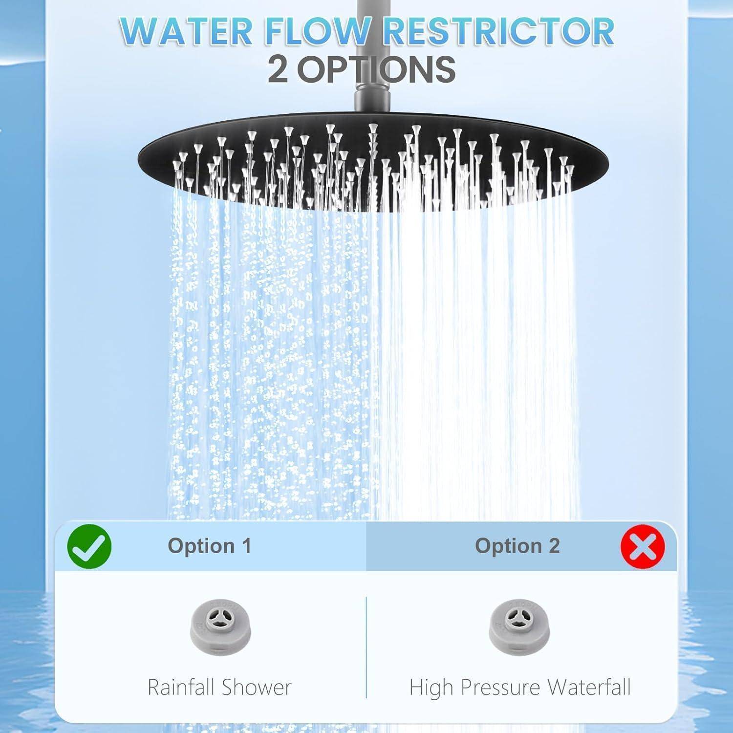 Infografik eines Wasserdurchflussbegrenzers mit 2 Optionen: Option 1 „Regendusche