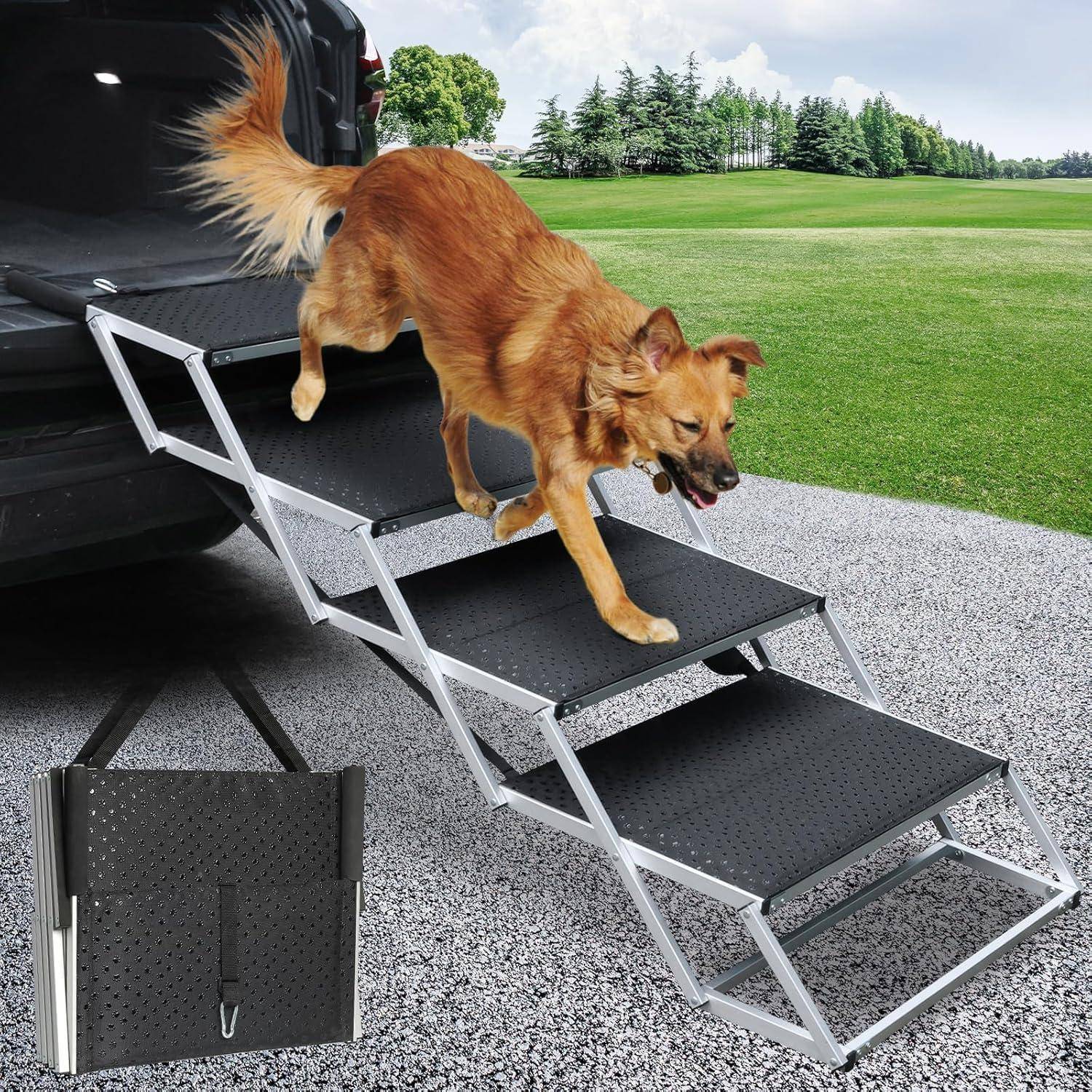 Hund, der eine tragbare Aluminium-Rampe von einem Fahrzeug hinunter auf einen Kiesweg hinabgeht, mit einem Grasfeld im Hintergrund.
