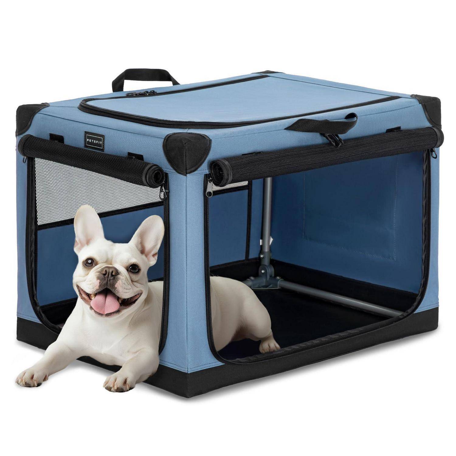 Weiße französische Bulldogge, die neben einer offenen blau-schwarzen Weich-Transportbox mit Gittertüren liegt, auf weißem Hintergrund dargestellt.