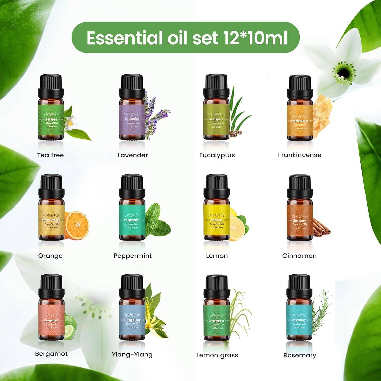 Ätherisches Ölset 12*10ml mit 12 beschrifteten Flaschen: Teebaum, Lavendel, Eukalyptus, Weihrauch, Orange, Pfefferminze, Zitrone, Zimt, Bergamotte, Ylang-Ylang, Zitronengras und Rosmarin.