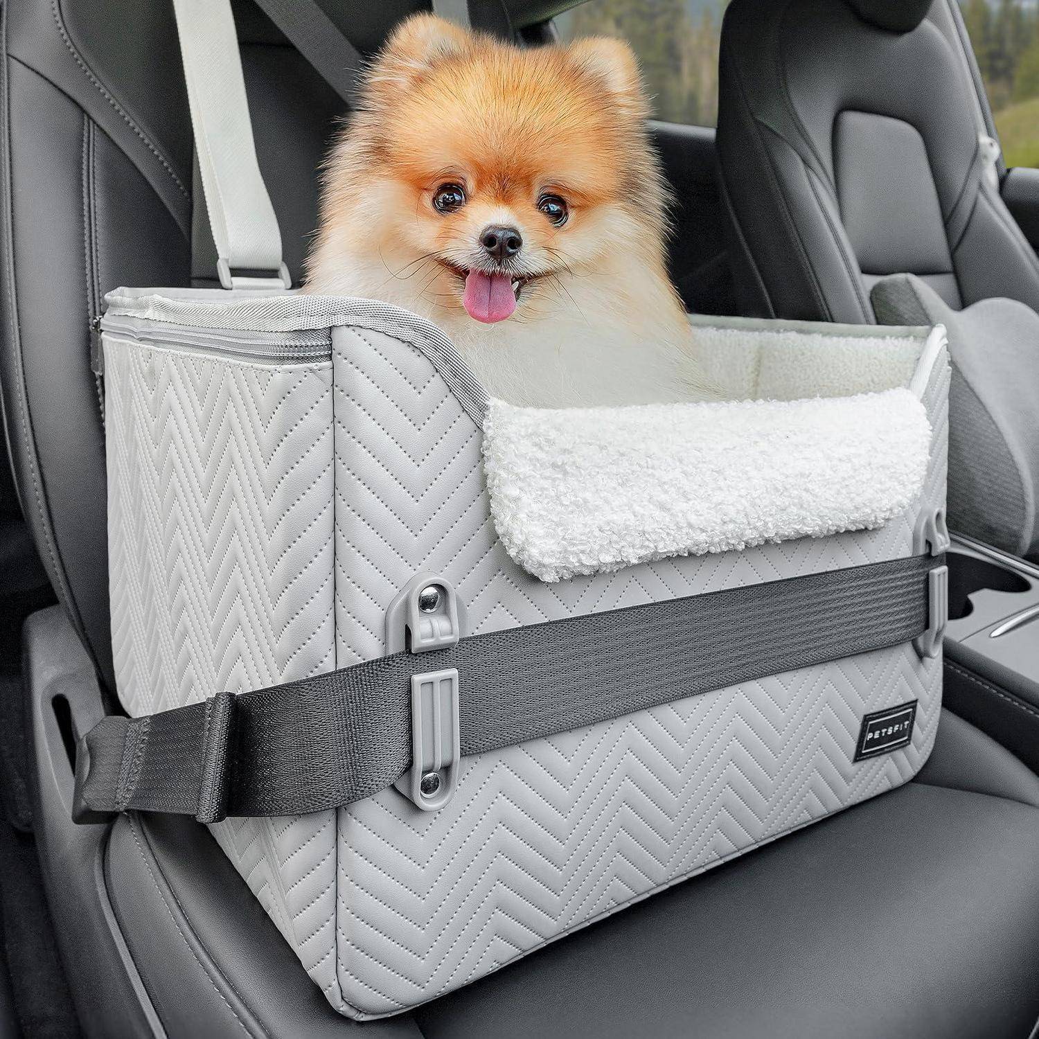 Kleiner fluffiger Hund, der in einer gepolsterten grauen Autositzträgertasche auf einem Fahrzeugsitz sitzt, mit heraushängender Zunge.