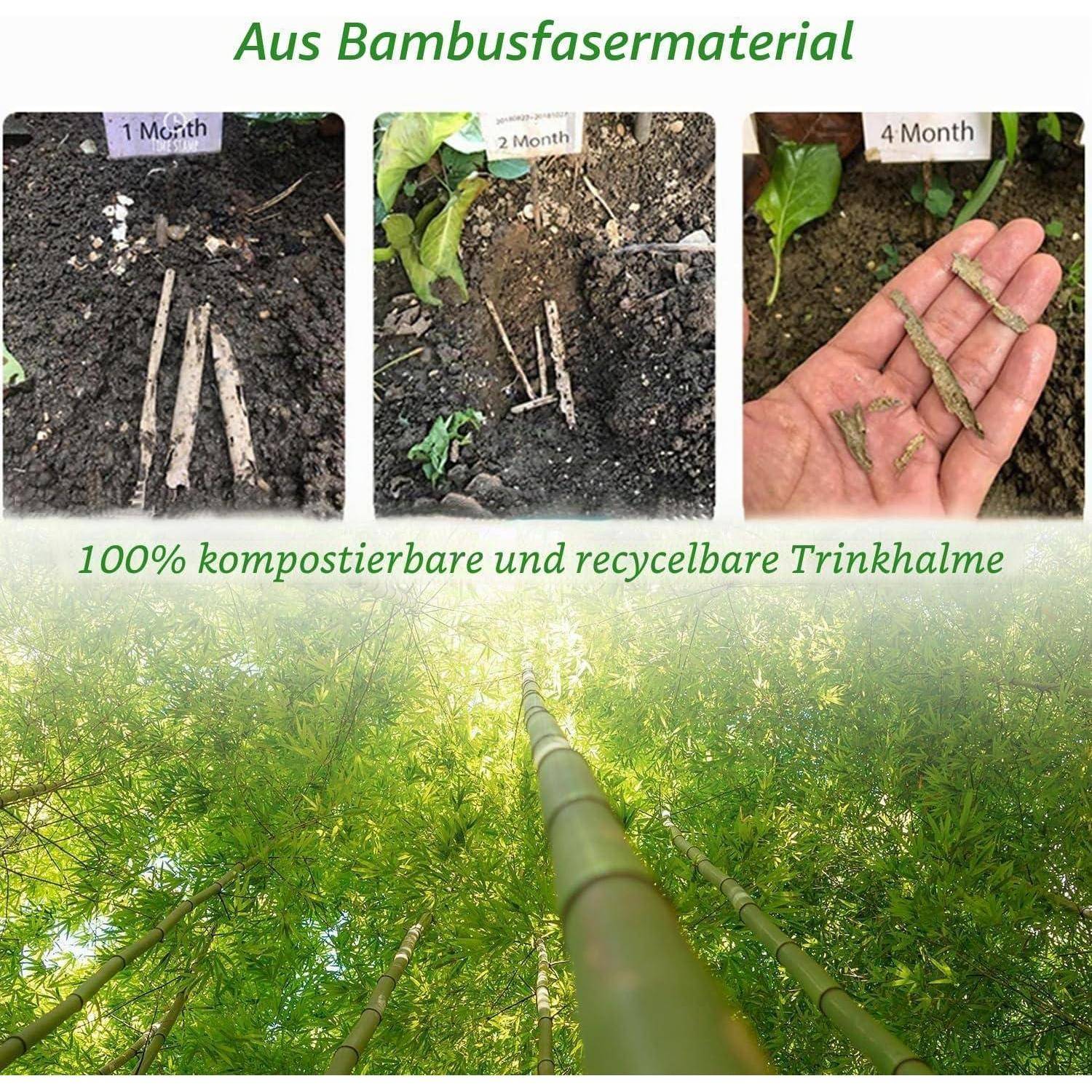 Drei-Tafeln-Bambus-Trinkhalm-Zersetzungszeitstrahl mit den Beschriftungen 1 Monat, 2 Monate, 4 Monate, mit dem Text „Aus Bambusfasermaterial