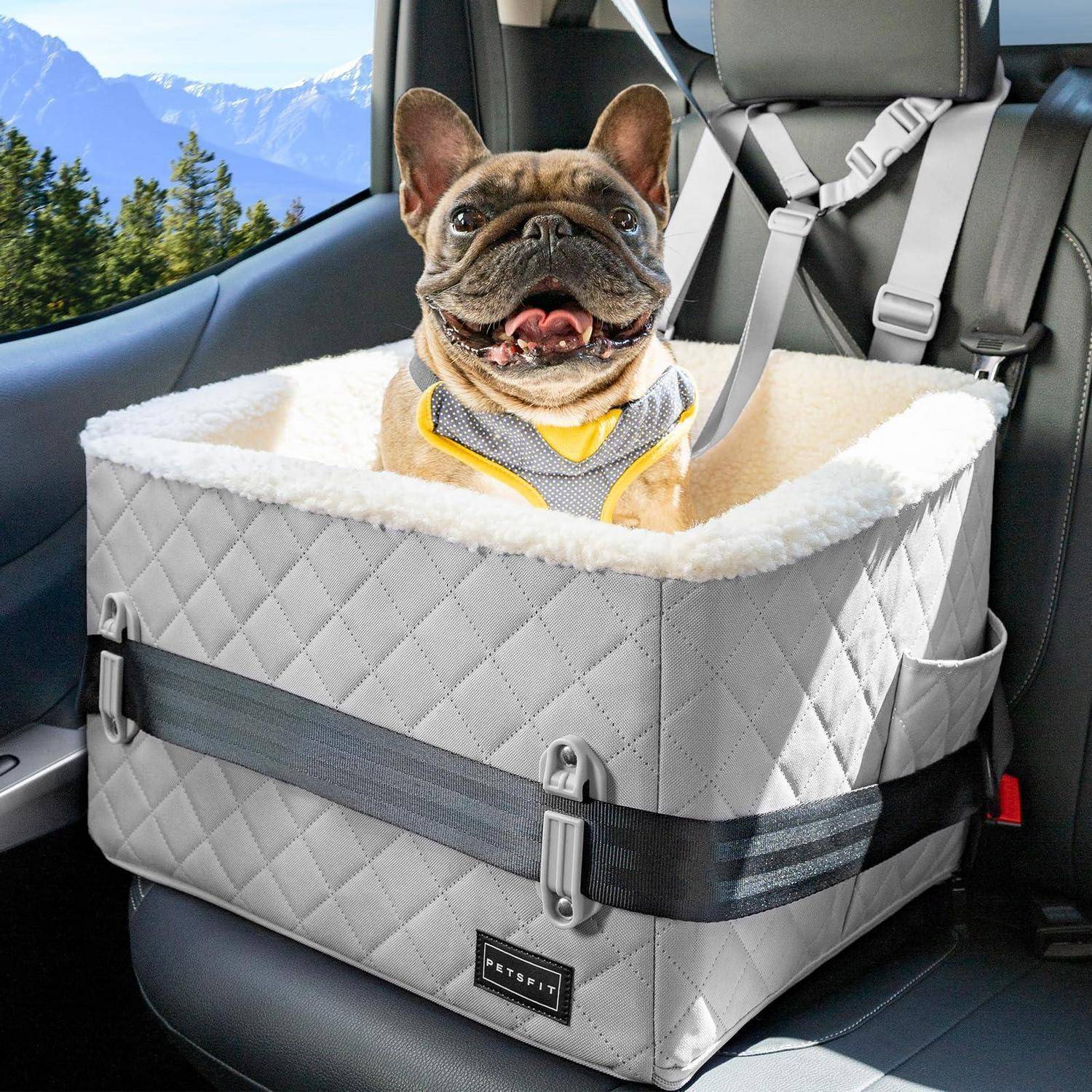 Französische Bulldogge, die in einem grauen gepolsterten Haustier-Autositz sitzt, der mit einem Riemen auf der Rückbank eines Autos gesichert ist.