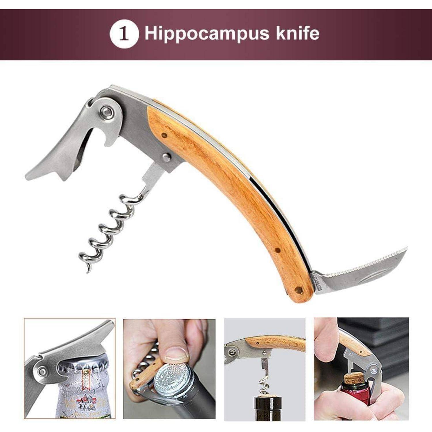 Illustration eines „Hippocampus-Messers