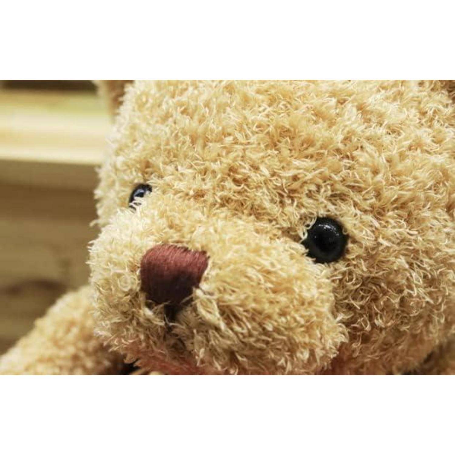 Nahaufnahme des Gesichts eines beigefarbenen Teddybären mit schwarzen Augen und brauner Nase.