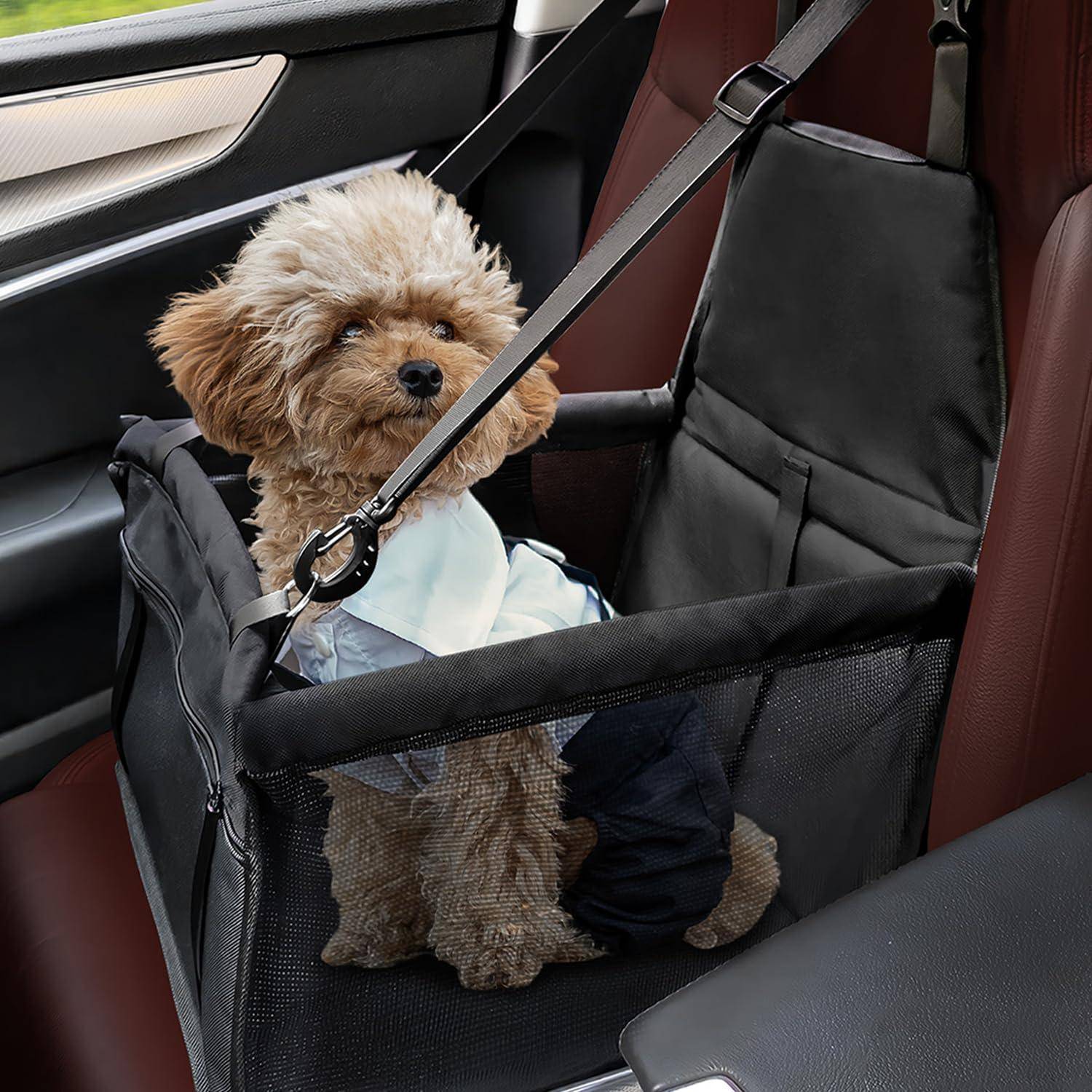 Kleiner flauschiger Hund in einer Autositzerhöhung für Haustiere, gesichert mit einem Geschirr, sitzt auf der Rückbank und trägt ein Hemd.