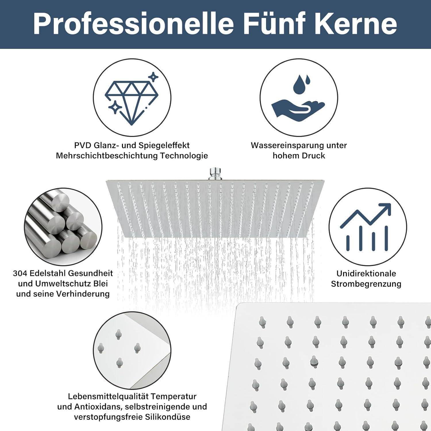 Infografik mit dem Titel „Professionelle Fünf Kerne