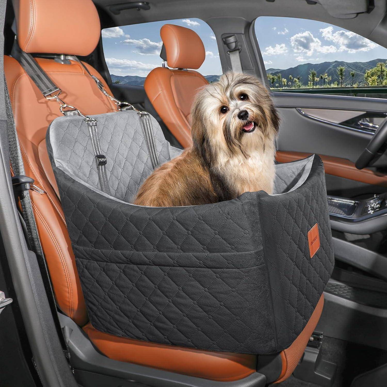 Kleiner Hund sitzt in einer gesteppten Autoschutzdecke auf dem Beifahrersitz eines Autos, mit Bergen sichtbar außerhalb des Fensters.