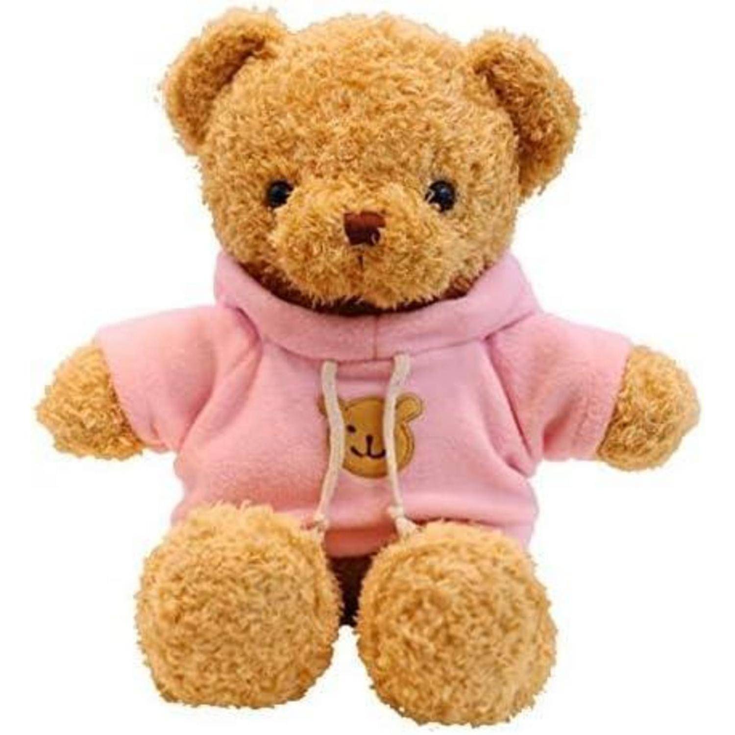 Teddybär in einem rosa Hoodie mit einem kleinen Bärchen-Patch, der vor weißem Hintergrund sitzt.