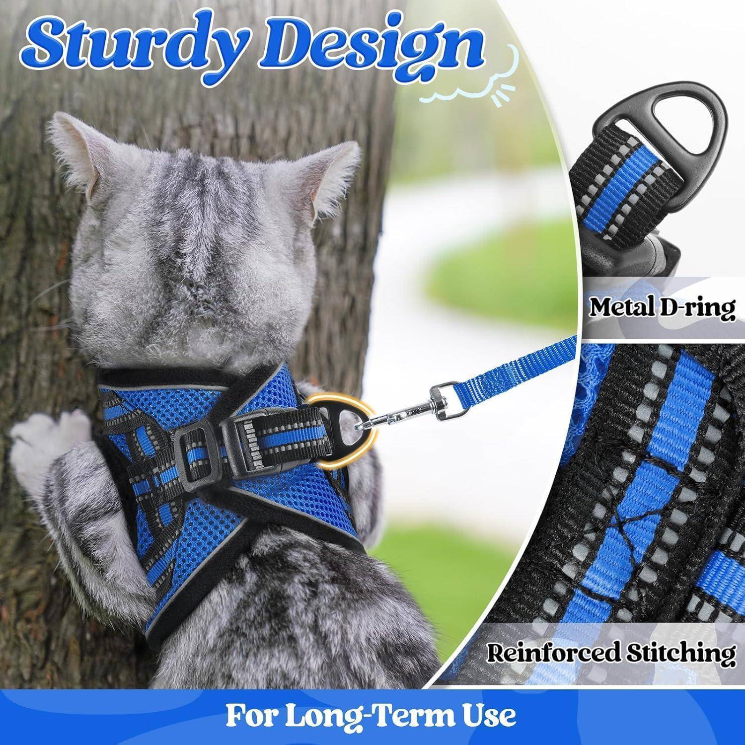 Grauer Katze mit blauem Geschirr, das an einer Leine befestigt ist, mit Beschriftungen für „Metallschlaufe