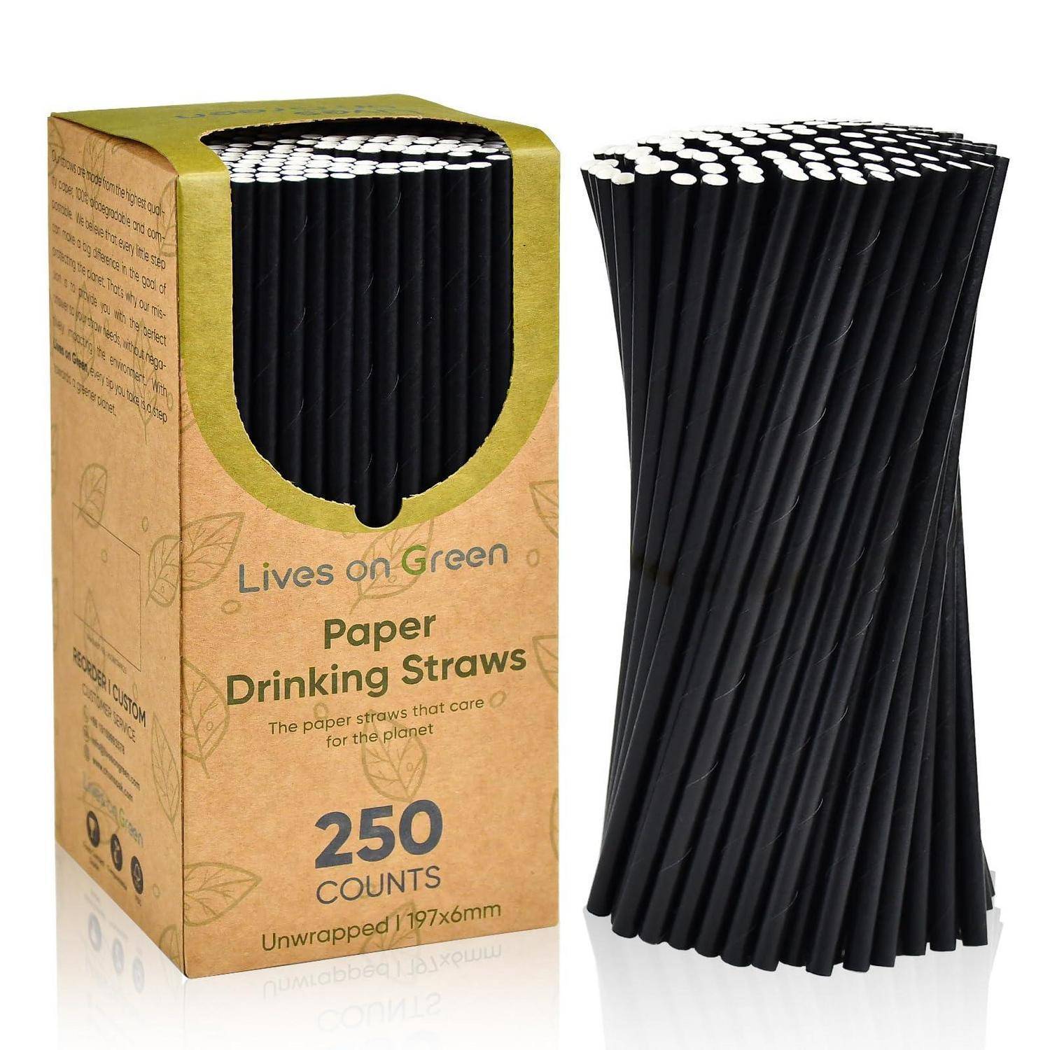 Schachtel mit schwarzen Papiertrinkhalmen mit einem Bündel daneben, beschriftet mit „Lives on Green Paper Drinking Straws
