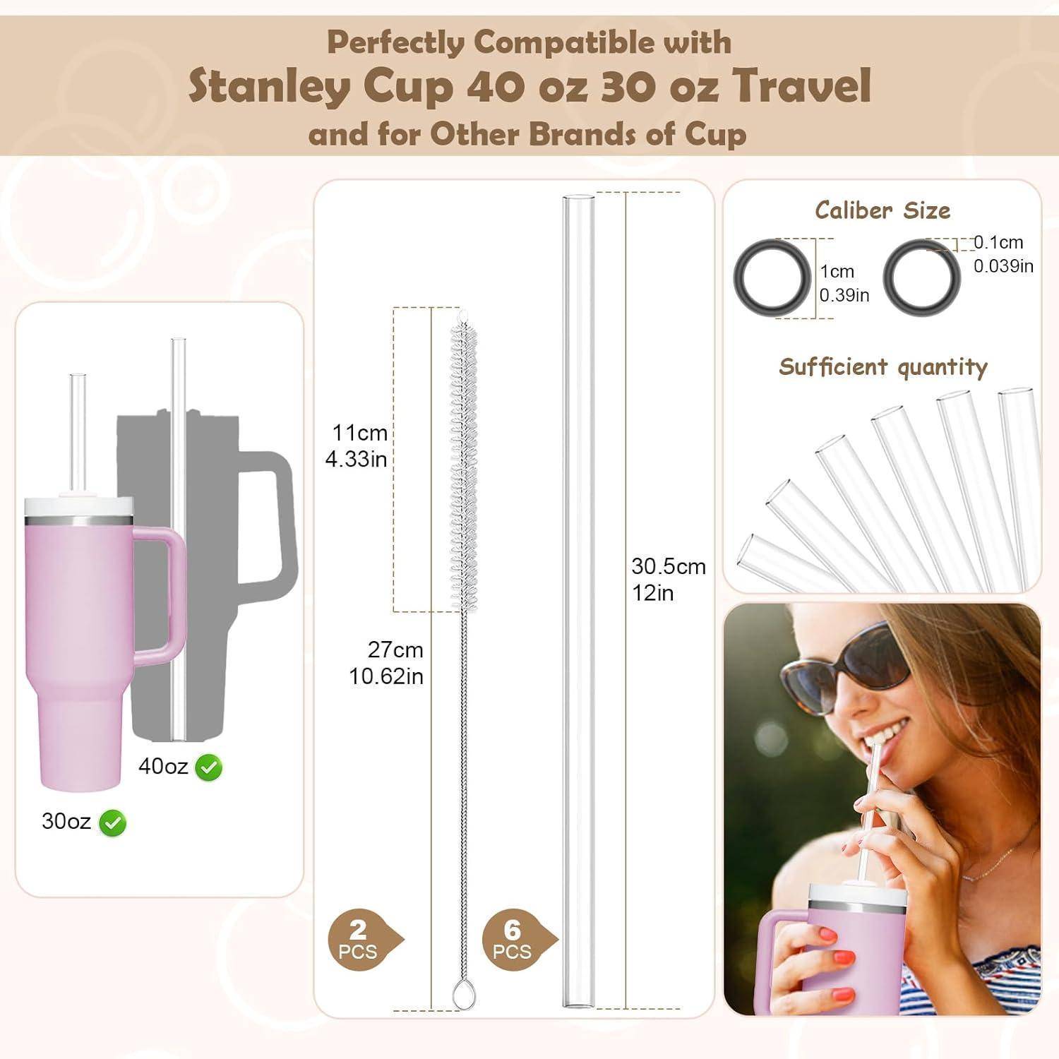 AOTWAN Strohhalm für Stanley Cup 6 Stück strohhalme Lang 30.5cm,6 Geraden Strohhalme for Stanley mit 2 Reinigungsbürsten Zubehör für Stanley Cup