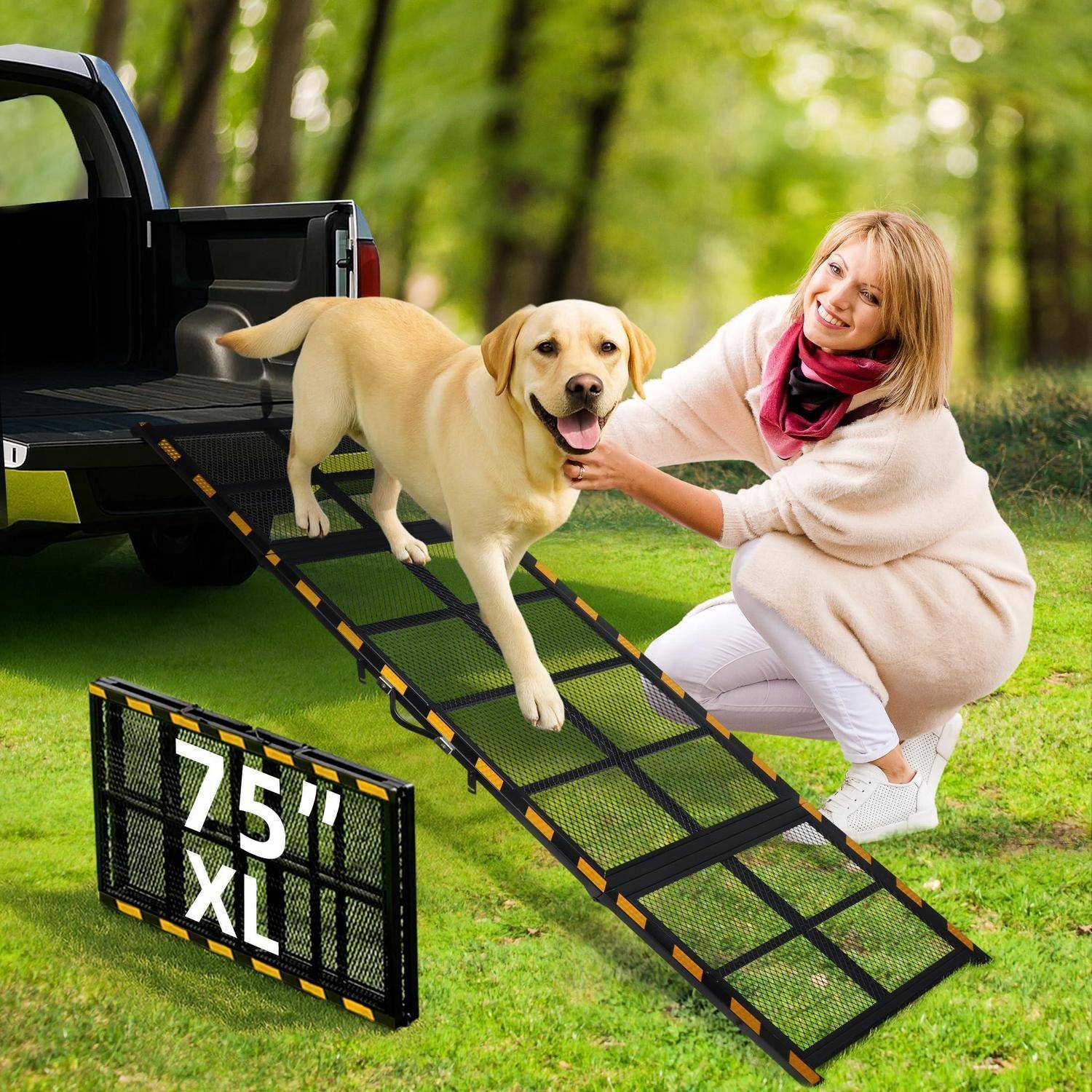 Eine Frau hilft einem gelben Labrador, eine Rampe zu nutzen, um aus einem Pickup-Truck auszusteigen; ein gefaltetes Rampenelement mit der Aufschrift „75