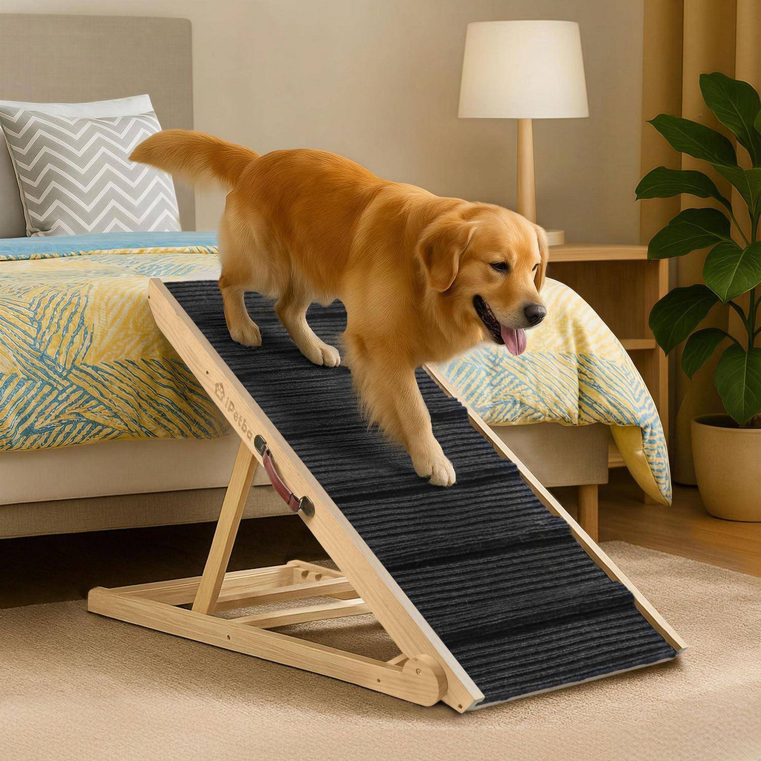 Golden Retriever, der eine Haustiertrepe neben einem Bett in einem Schlafzimmer hinuntergeht, mit herausgehängter Zunge und konzentriert auf die Stufen.