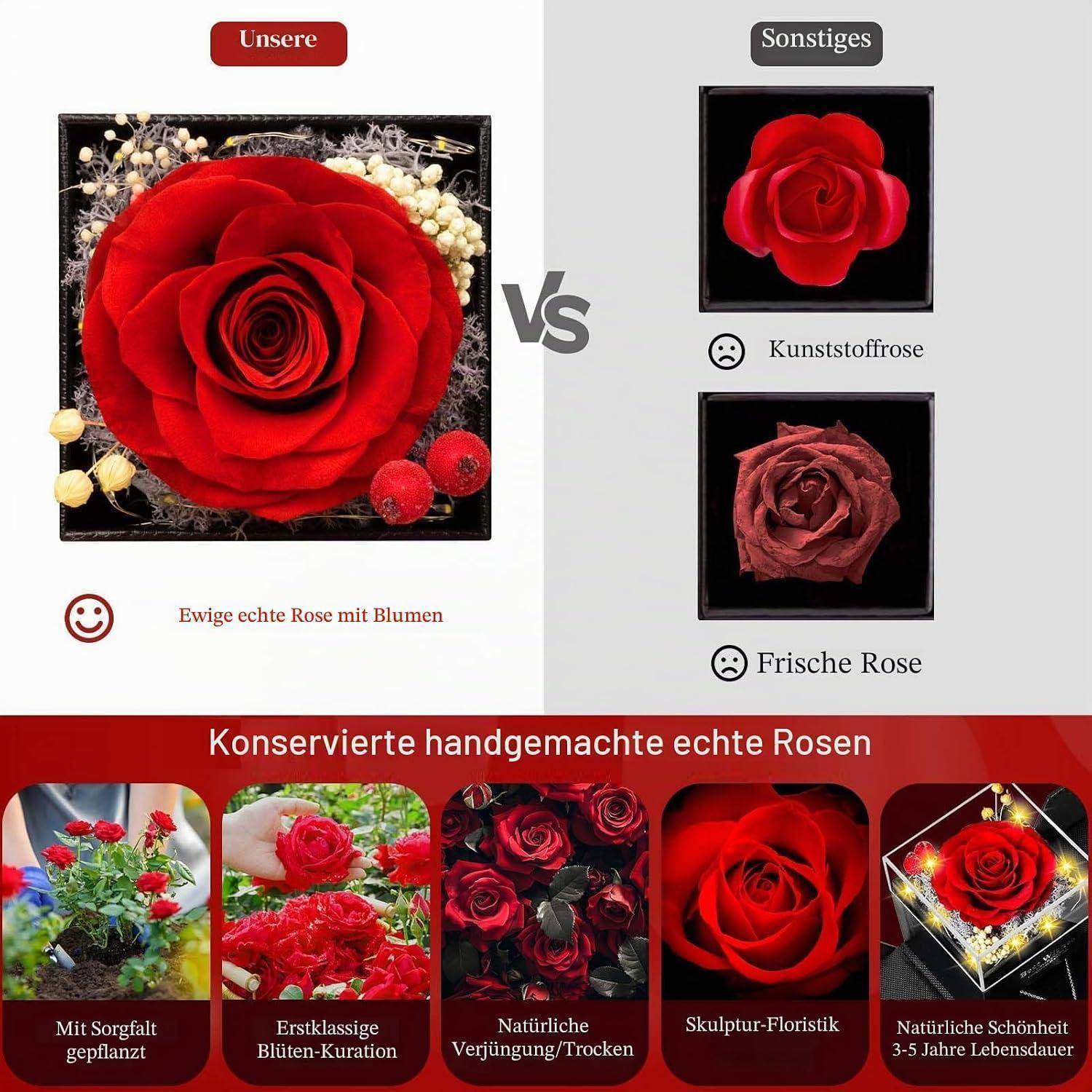 Ewige Rose Geschenkset mit LED und Halskette "I LOVE YOU" in 100 Sprachen