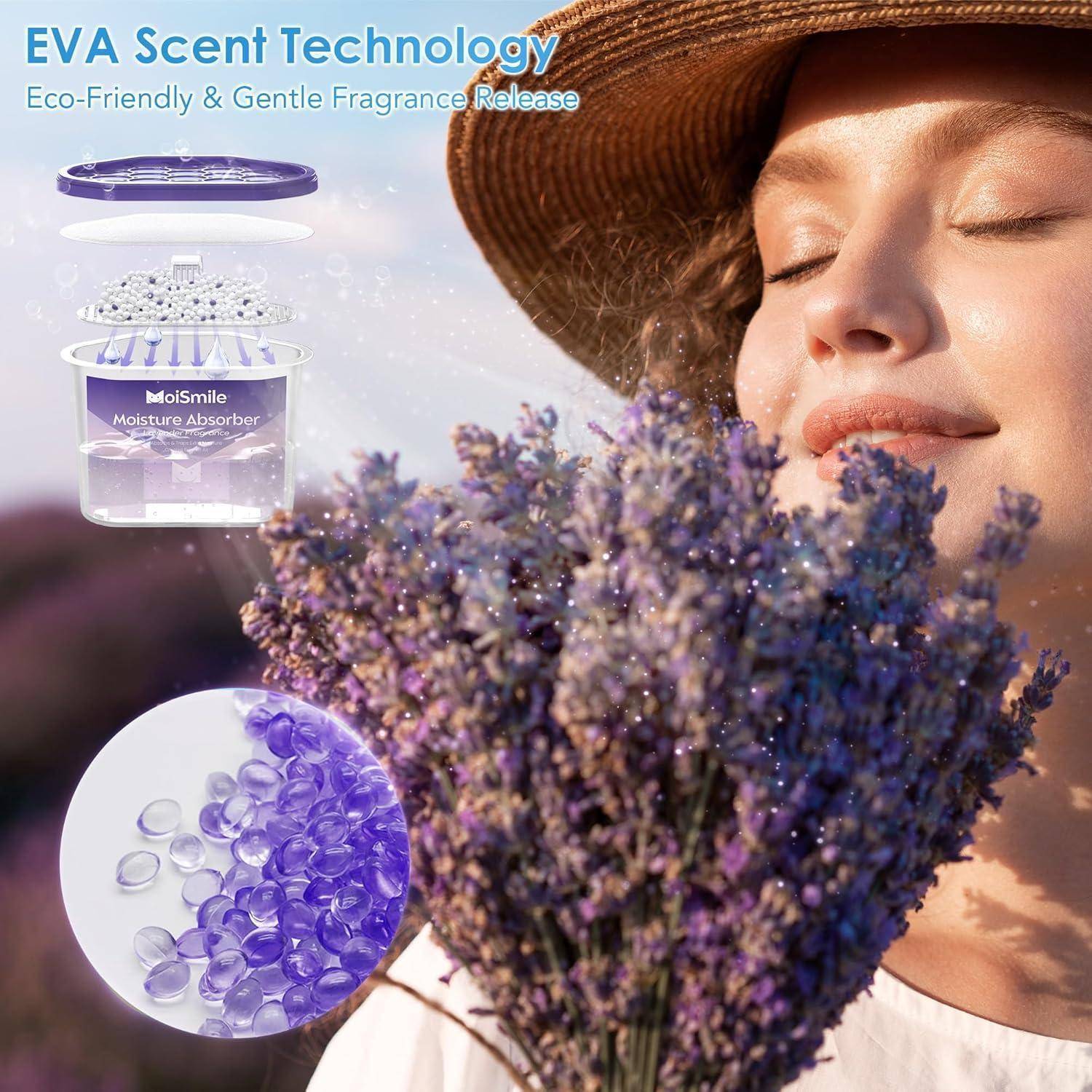 Moismlie Lavendel Duft Feuchtigkeitsabsorber 6er Pack – nachfüllbare 10,5 oz. Feuchtigkeitsabsorber-Boxen für Schrank, Bad, Auto und Keller 6 Stü