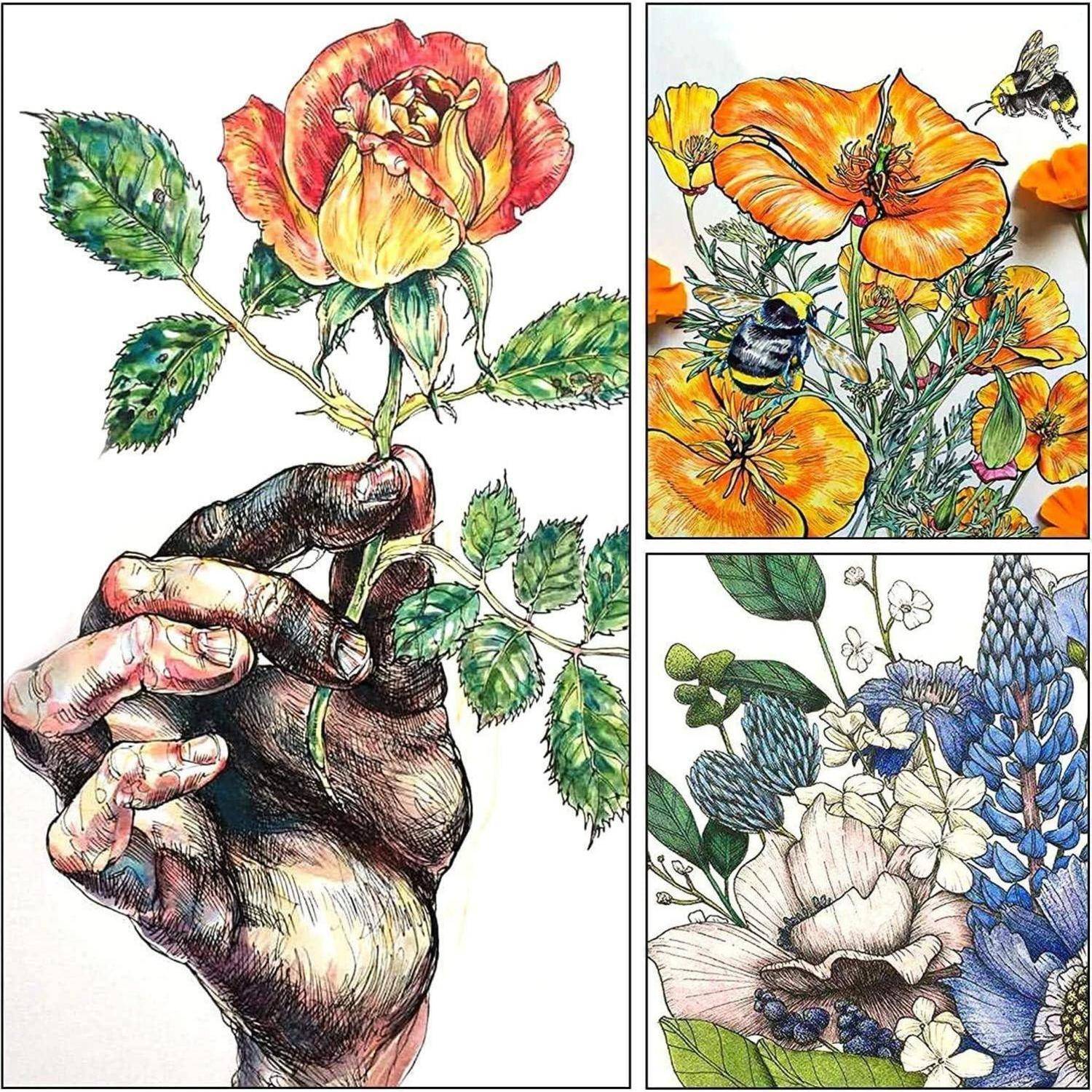 Illustrierte Collage mit Händen, die eine Rose halten, mit zwei Blumen-und-Bienen-Paneelen mit orangefarbenen und blauen Blüten, die botanische Kunst und Bestäubung suggerieren.