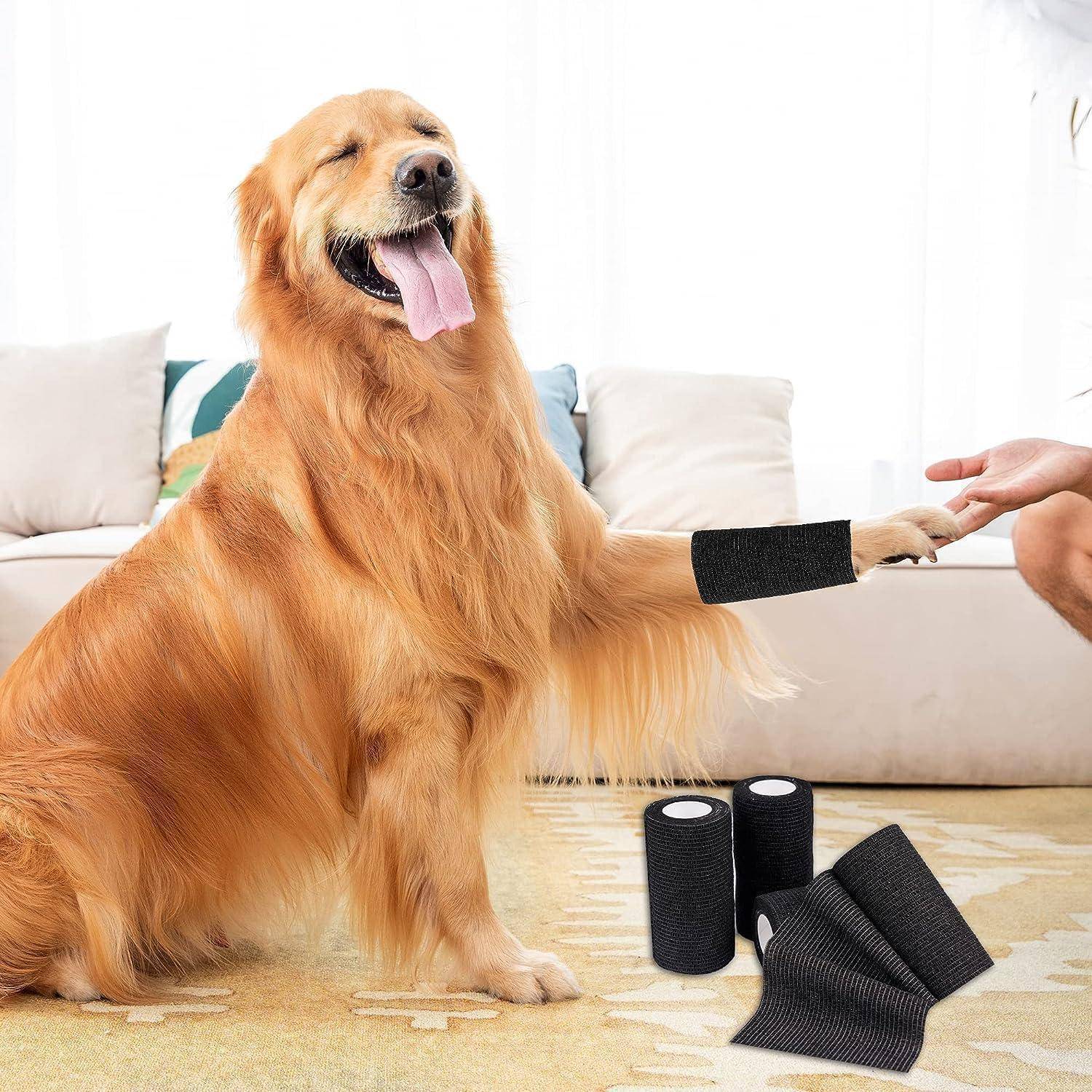 Ein Golden Retriever sitzt drinnen mit einem schwarzen Verband an seinem Vorderbein, während eine Person seine Pfote zur Pflege hält.