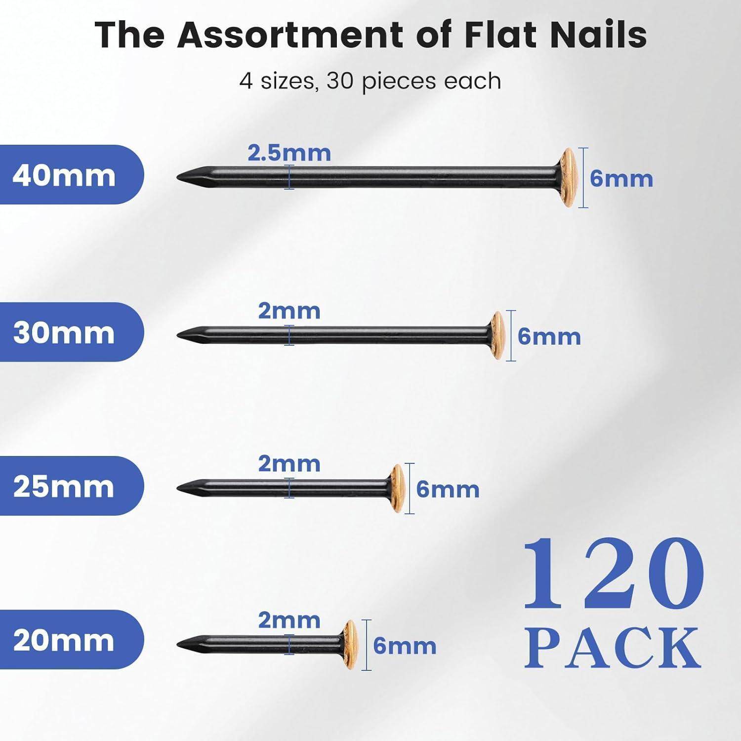 Produktgrafik einer Sortierung von Flachnägeln: 120er-Pack mit 4 Größen, je 30 Stück – 40mm, 30mm, 25mm und 20mm Nägel, alle mit 6mm Kopfgröße.