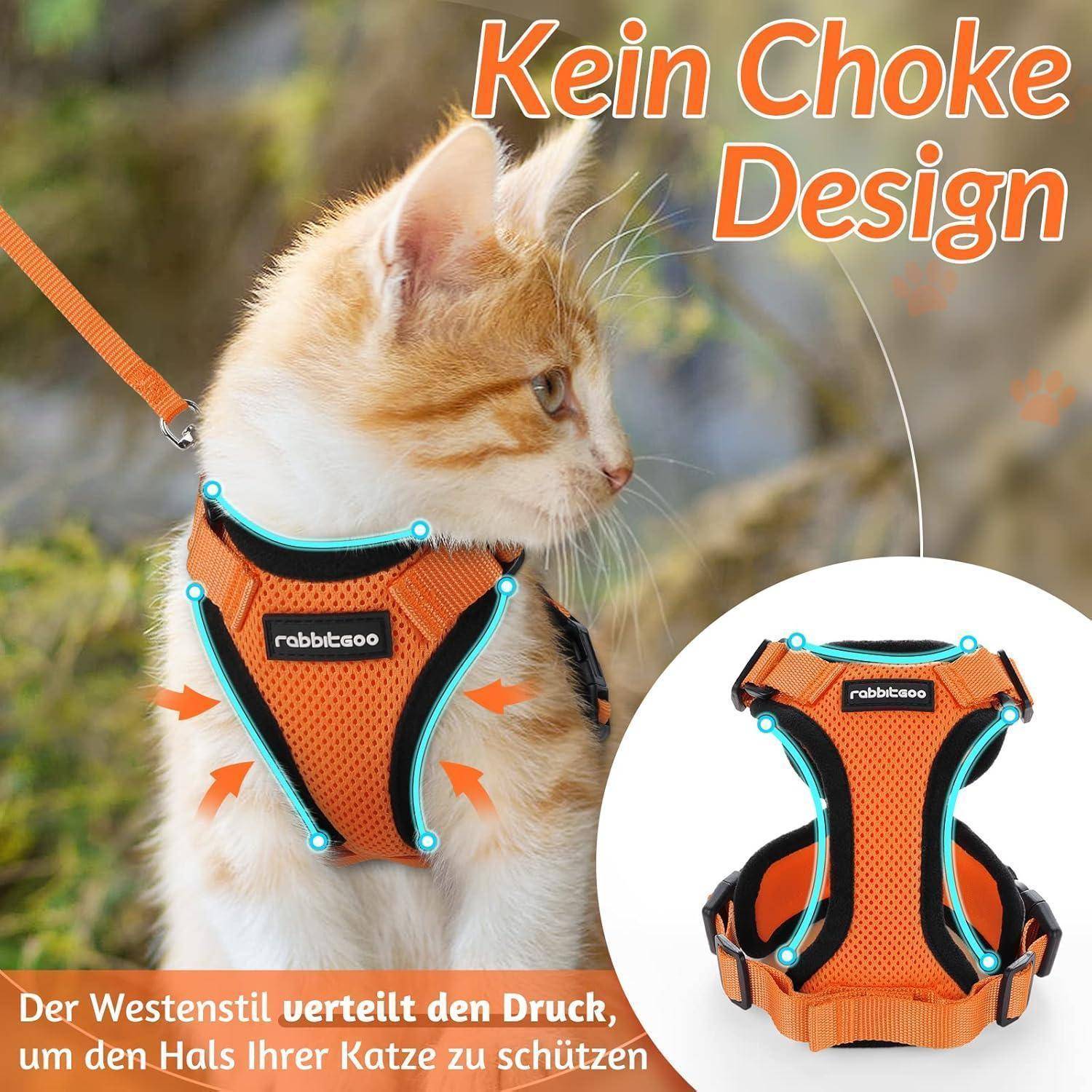 Orange Tabby-Katze mit orangefarbenem Rabbitgoo-Geschirr und Leine, gekennzeichnet mit "No Choke Design"" und ""Western-style pressure distribution"" zum Schutz des Halses der Katze.