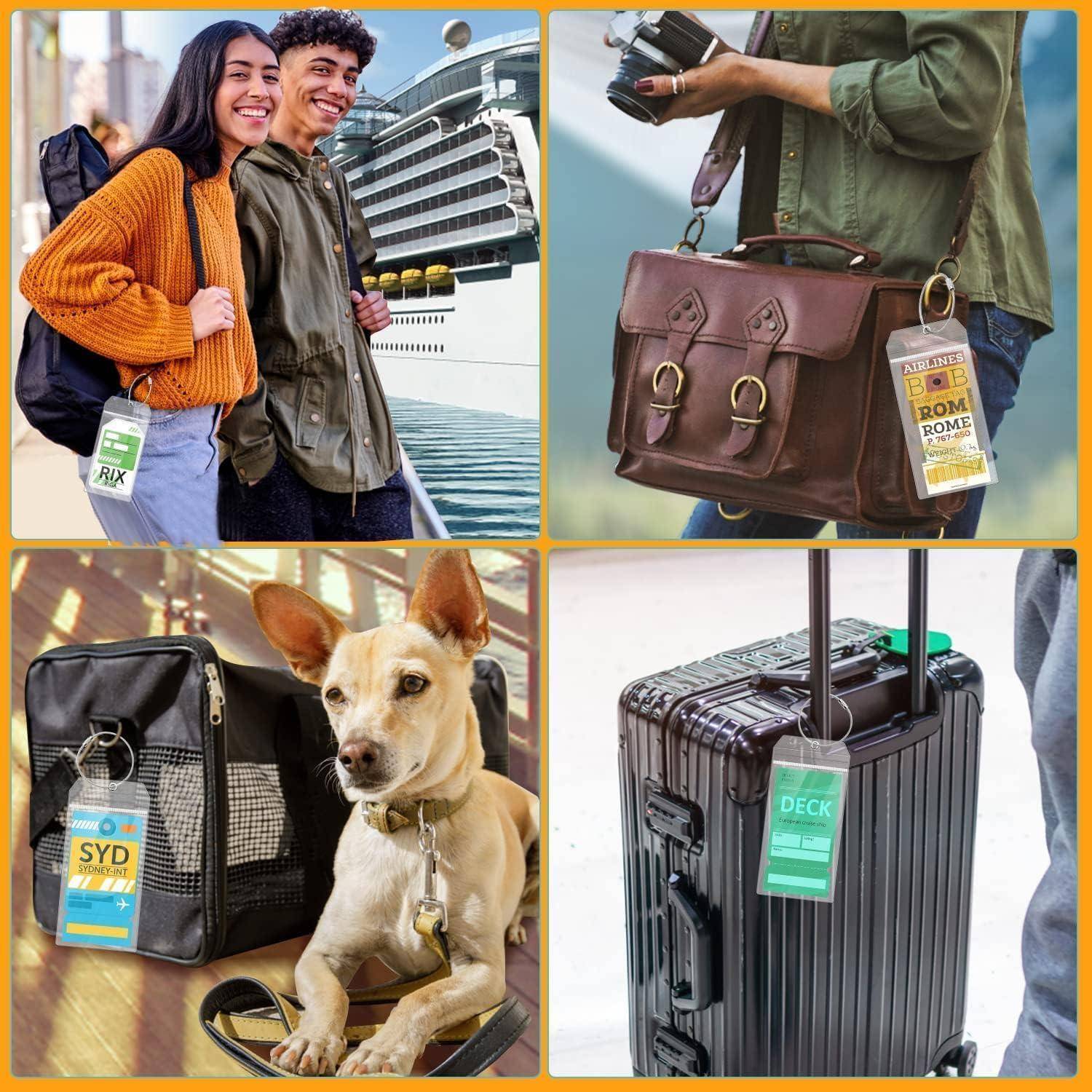 Vier Reisetaschen und Gepäck mit Zielkennzeichnungen, darunter ein Paar neben einem Kreuzfahrtschiff, eine braune Handtasche, eine Transportbox mit einem Hund und ein Rollkoffer.