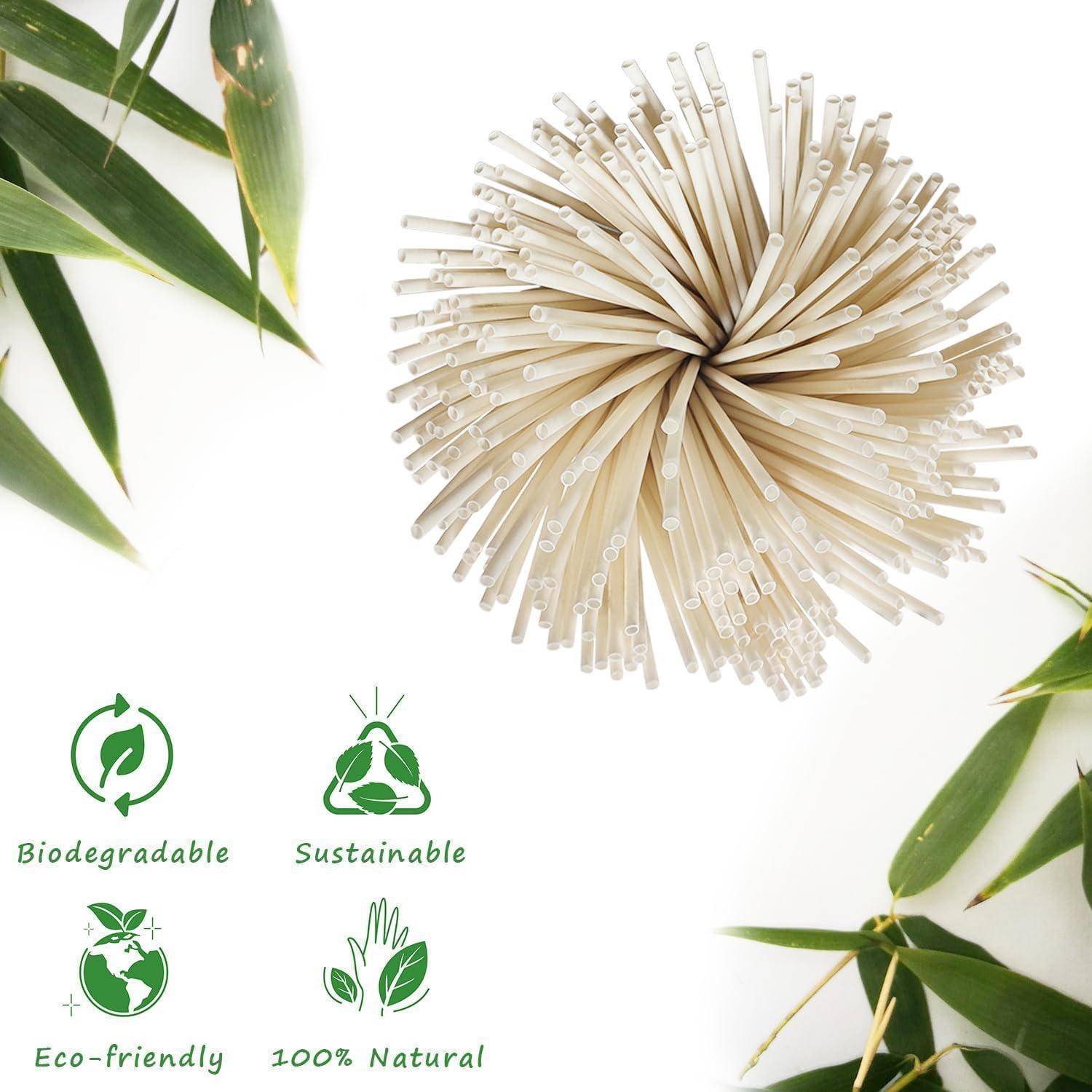 Umweltfreundliches Produktbild zeigt einen beigen, biologisch abbaubaren, nachhaltigen, 100% natürlichen Artikel mit grünen Blättern und Symbolen, die mit "Biologisch abbaubar"", ""Nachhaltig"", ""Umweltfreundlich"" und ""100% Natürlich"" beschriftet sind.