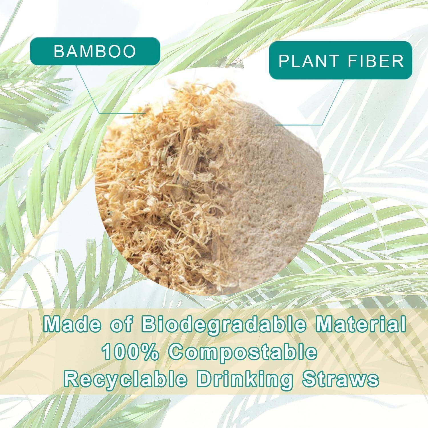 Trinkhalme aus biologisch abbaubaren Bambusfasern, dargestellt als 100 % kompostierbar und recycelbar.