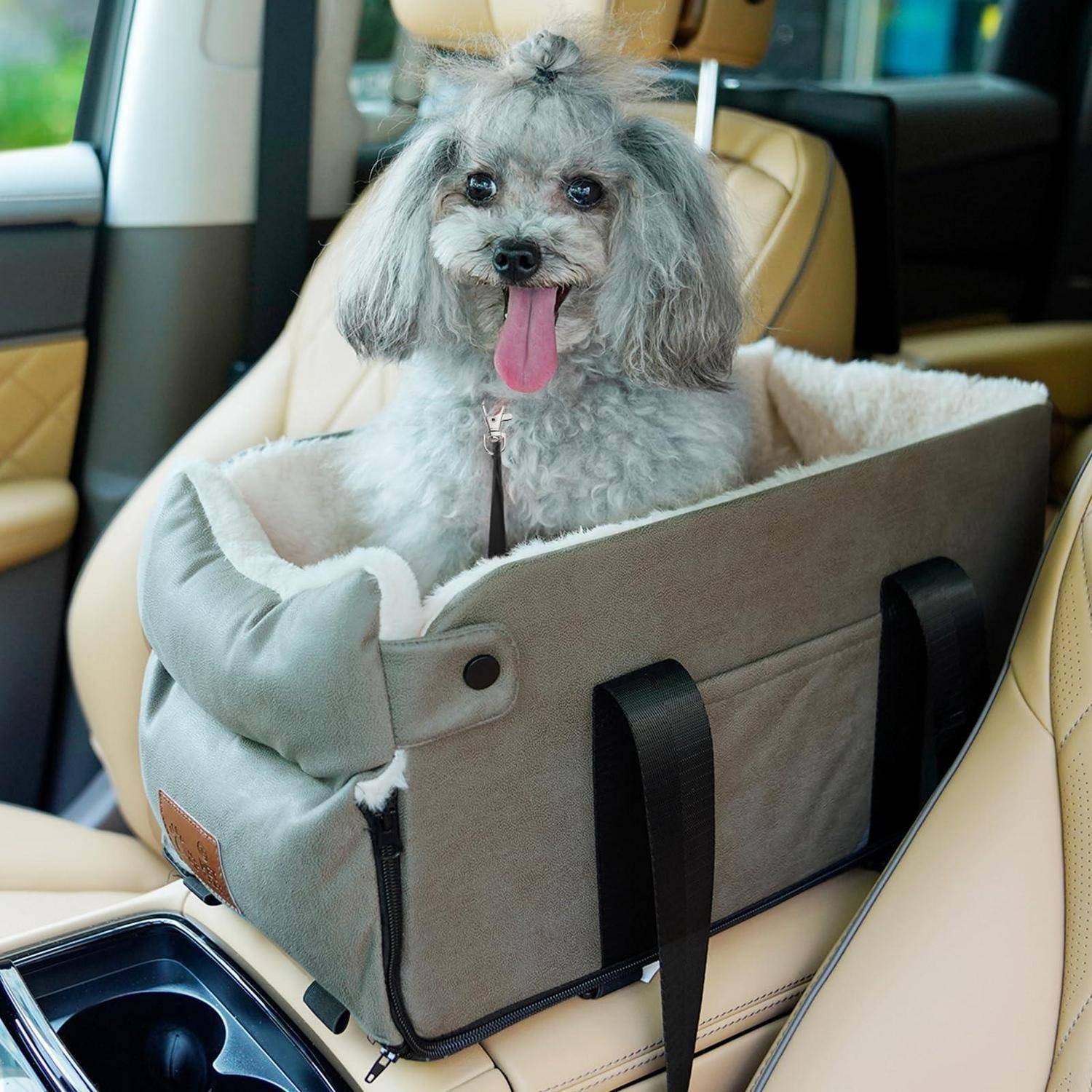 Kleiner grauer Hund sitzt in einer gepolsterten Transportbox auf einem Autositz, mit herausgestreckter Zunge.