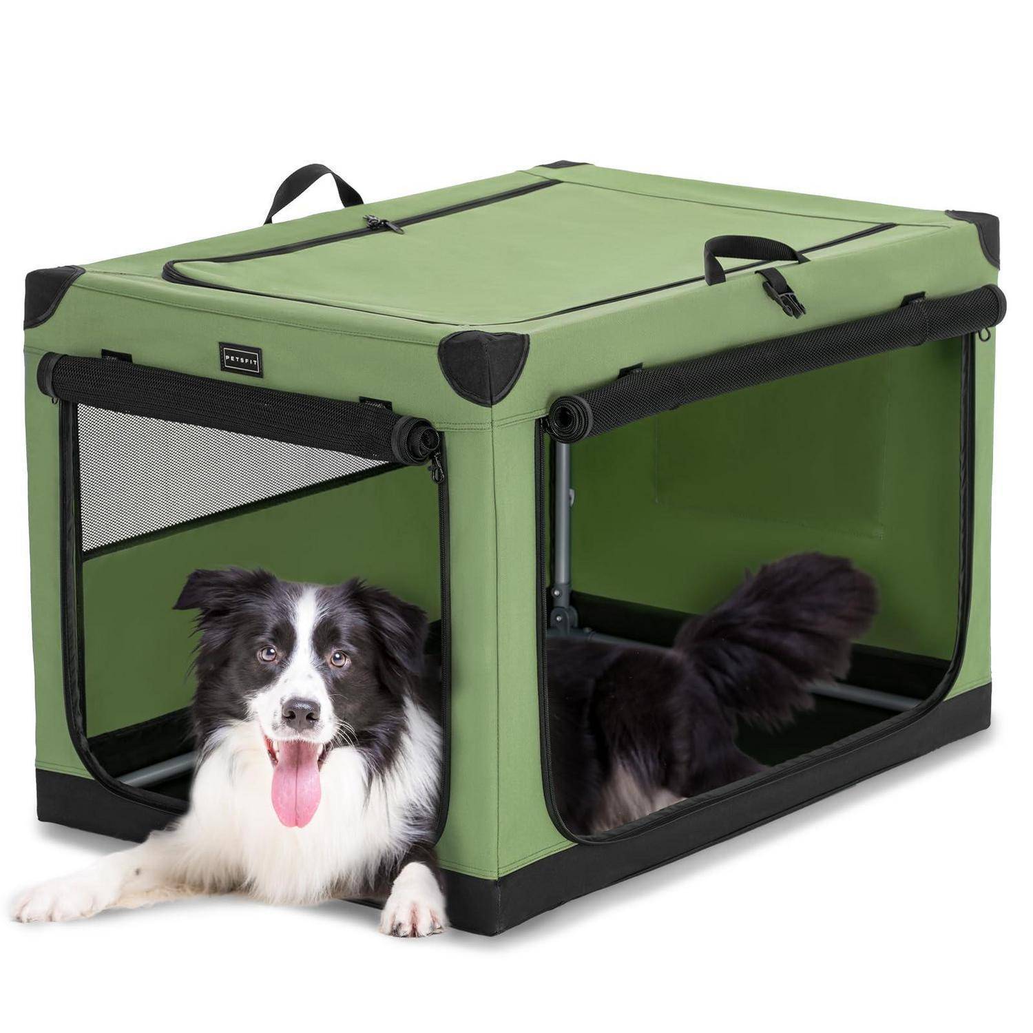 Grüne tragbare Haustiertransportbox mit Maschentüren, auf der ein schwarz-weißer Hund liegt, der teilweise außerhalb liegt, und ein anderer Hund innen.