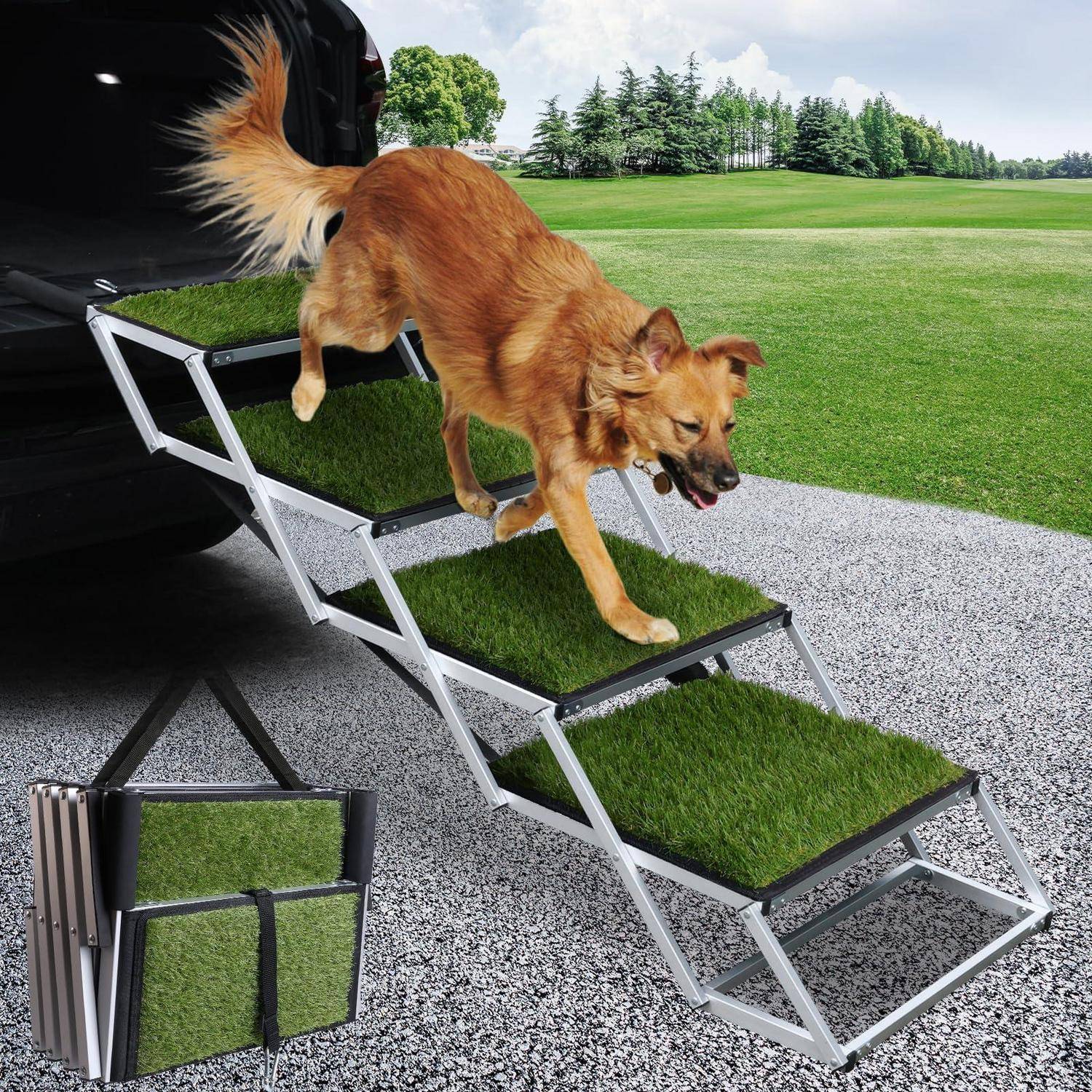 Goldener Hund, der eine tragbare Kunstrasen-Haustierrampe von einem SUV hinunter auf eine Kiesauffahrt geht, mit der eingefalteten Rampe in einer Einschubansicht gezeigt.
