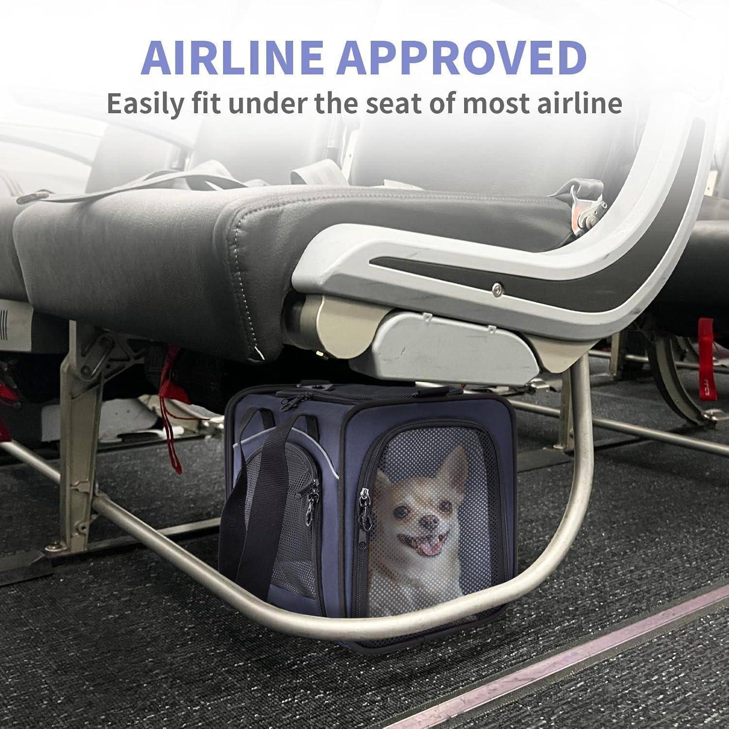 Petsfit Transporttasche Katze &amp; Hundetasche Flugzeug | Flugtasche für Hunde &amp; Transportbox Katze | Flugtaugliche Haustiertasche | Sicherer Transport