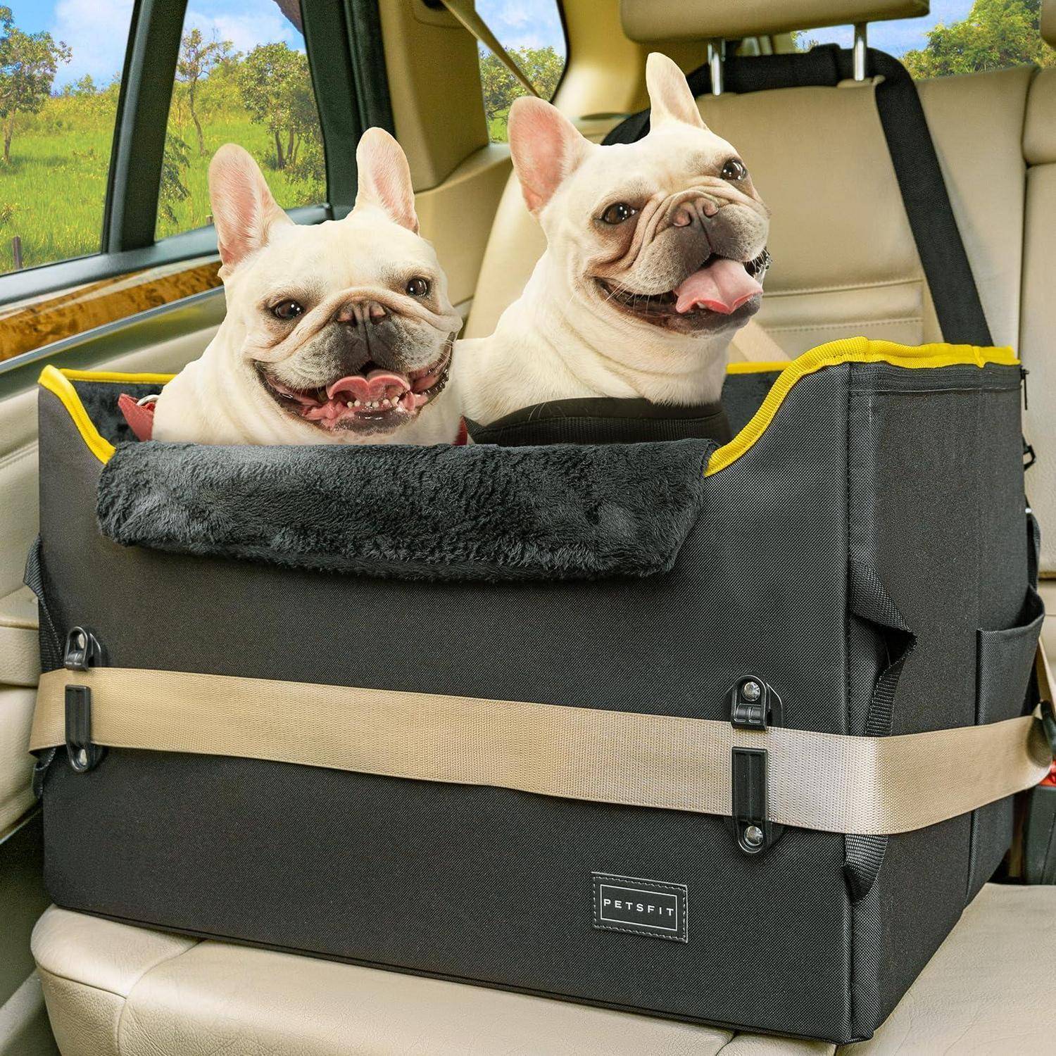 Zwei französische Bulldoggen fahren in einem schwarzen Tier-Booster-Sitz auf der Rückbank eines Autos und schauen aus dem Fenster.
