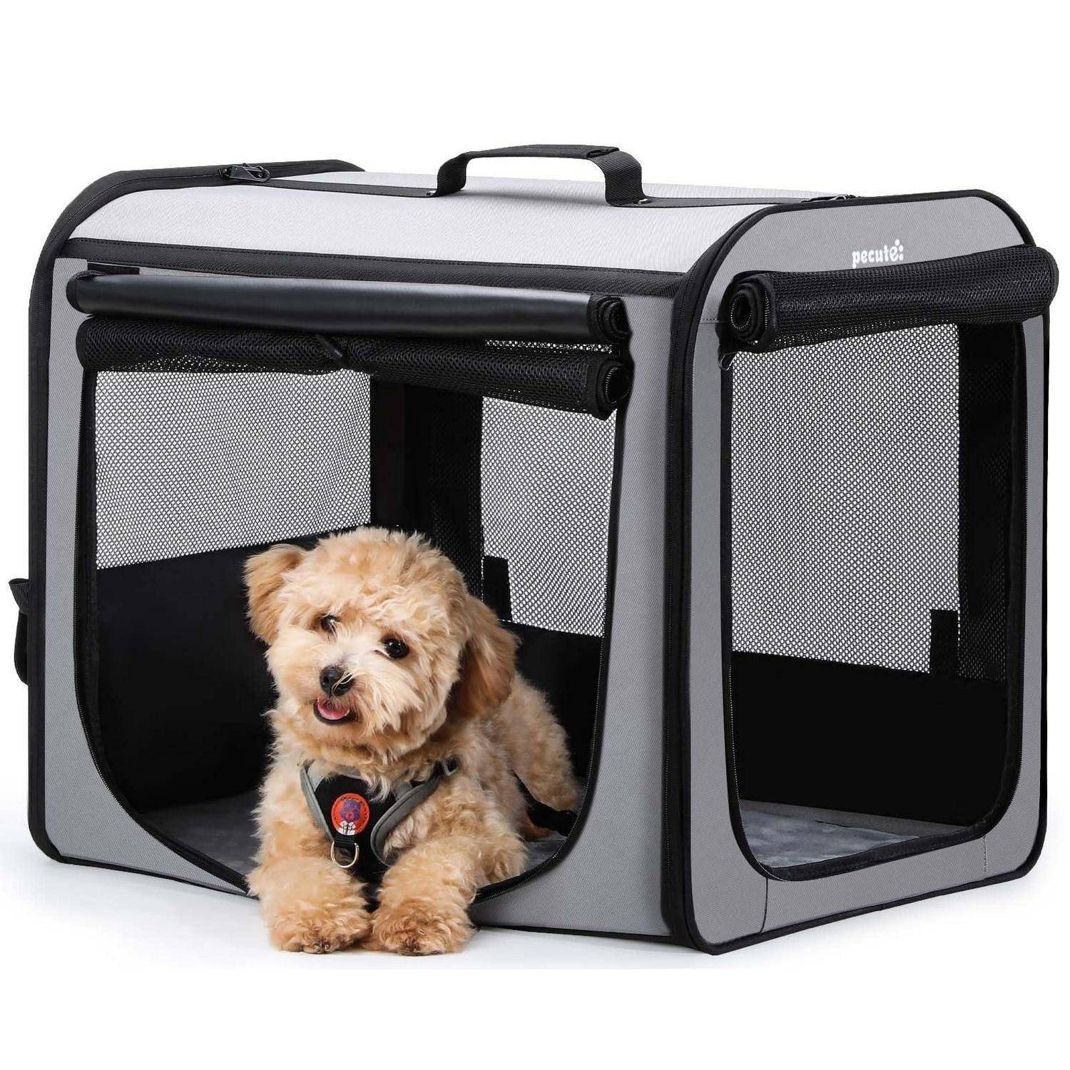 Kleiner hellbrauner Hund, der in einer grauen Soft-Sided-Hundebox mit Mesh-Öffnungen und einem oberen Griff vor weißem Hintergrund sitzt.
