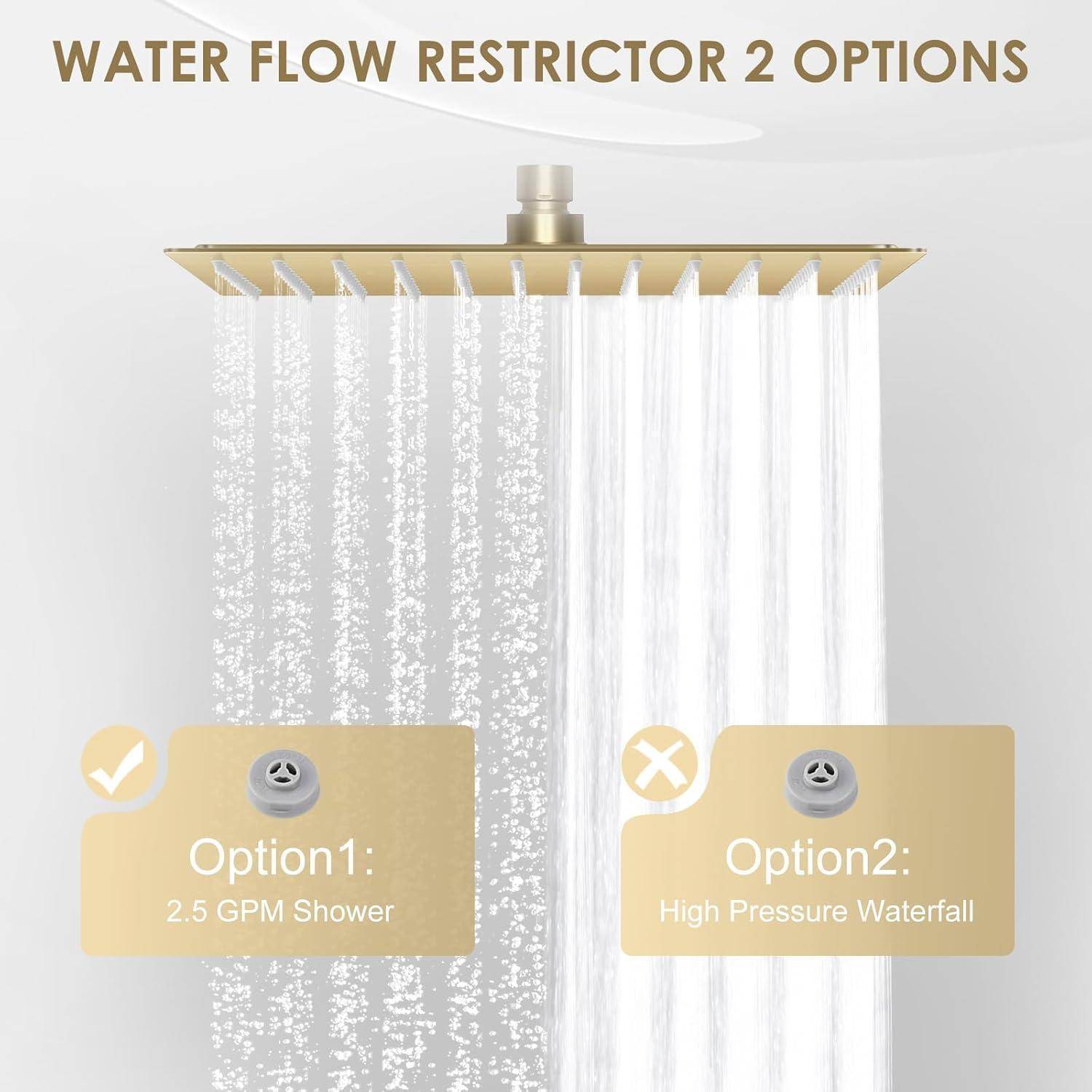 Infografik zum Vergleich von zwei Wasserdurchfluss-Begrenzer-Optionen für einen Duschkopf: Option 1, 2,5 GPM Dusche mit einem Häkchen, und Option 2, Hochdruck-Wasserfall mit einem X.
