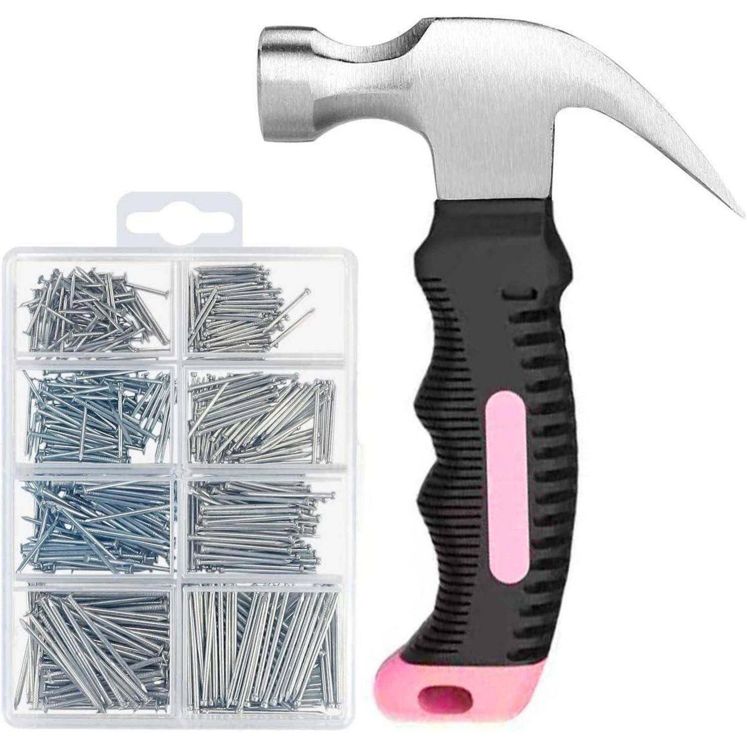 Hammer neben einer Kunststoff-Organizer-Box gefüllt mit verschiedenen Nägeln, zeigt ein Nagel-und-Hammer-Werkzeugsatz.