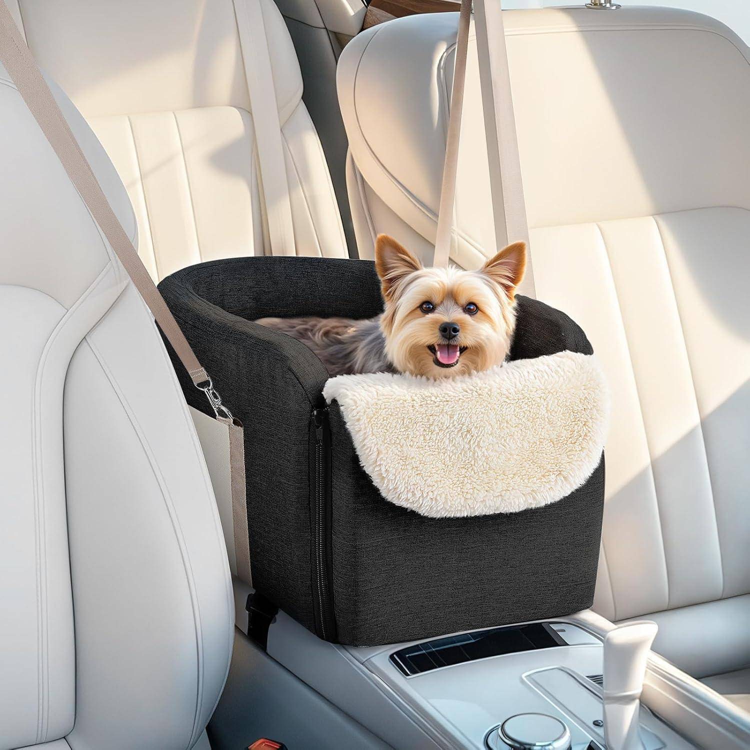 Kleiner Hund in einem schwarzen Transportbett auf einem Autositz, mit dem Kopf, der herausschaut und der Zunge heraus, in einem hell gefärbten Fahrzeuginnenraum.