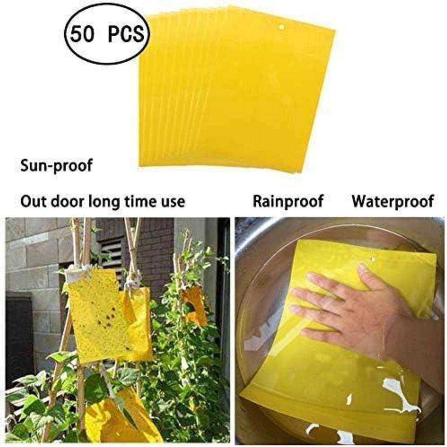Panngu 50 Stück Gelbtafeln, Fliegenfalle Fänger Fliegenfängern Sticker für Gartenarbeit Pflanzenschutz Und Schädlingsbekämpfung Pilzmücken, Fli
