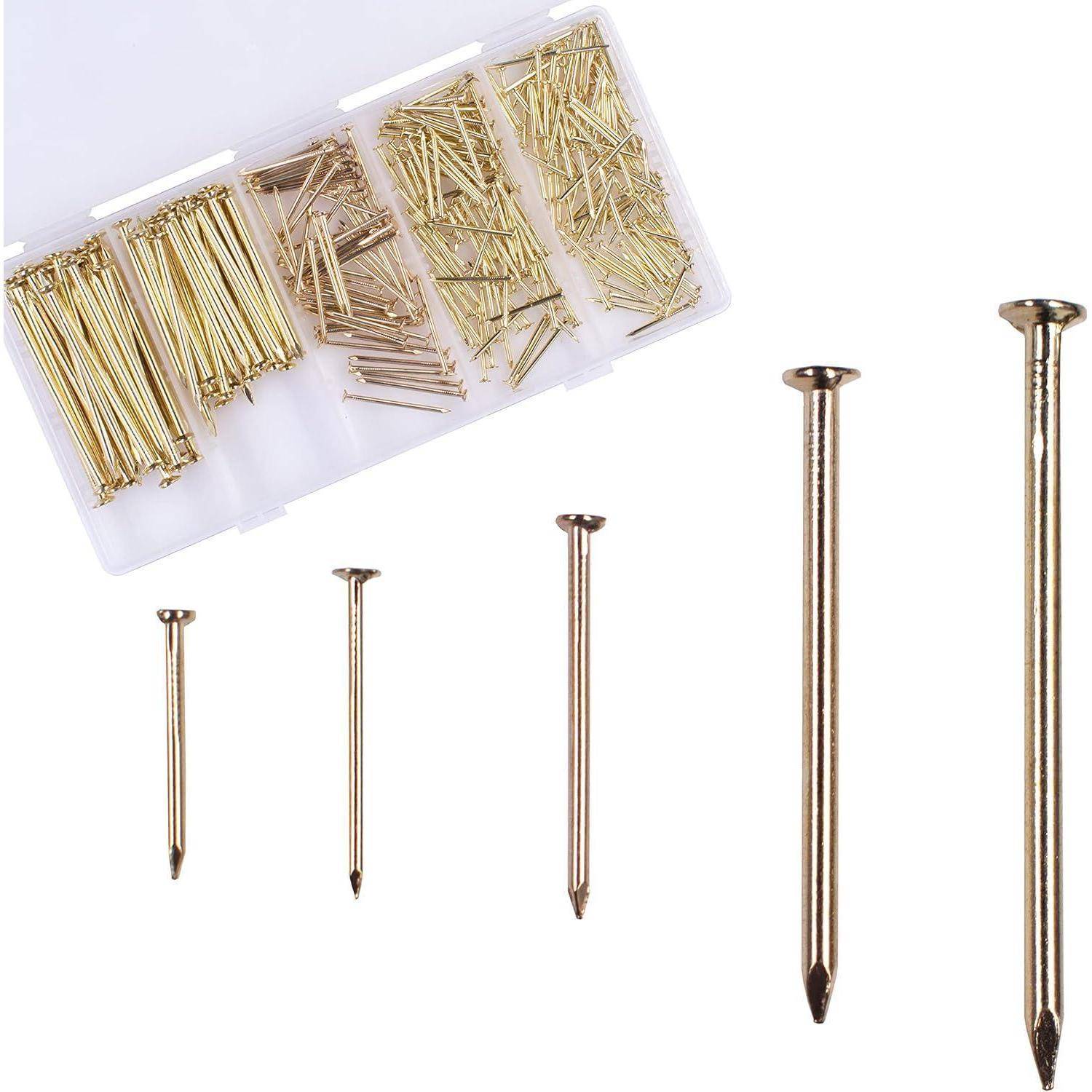 Assortierte goldfarben beschichtete Finishing-Nägel in einem Kunststoff-Organizer, mit fünf Nägeln in zunehmenden Größen auf weißem Hintergrund.