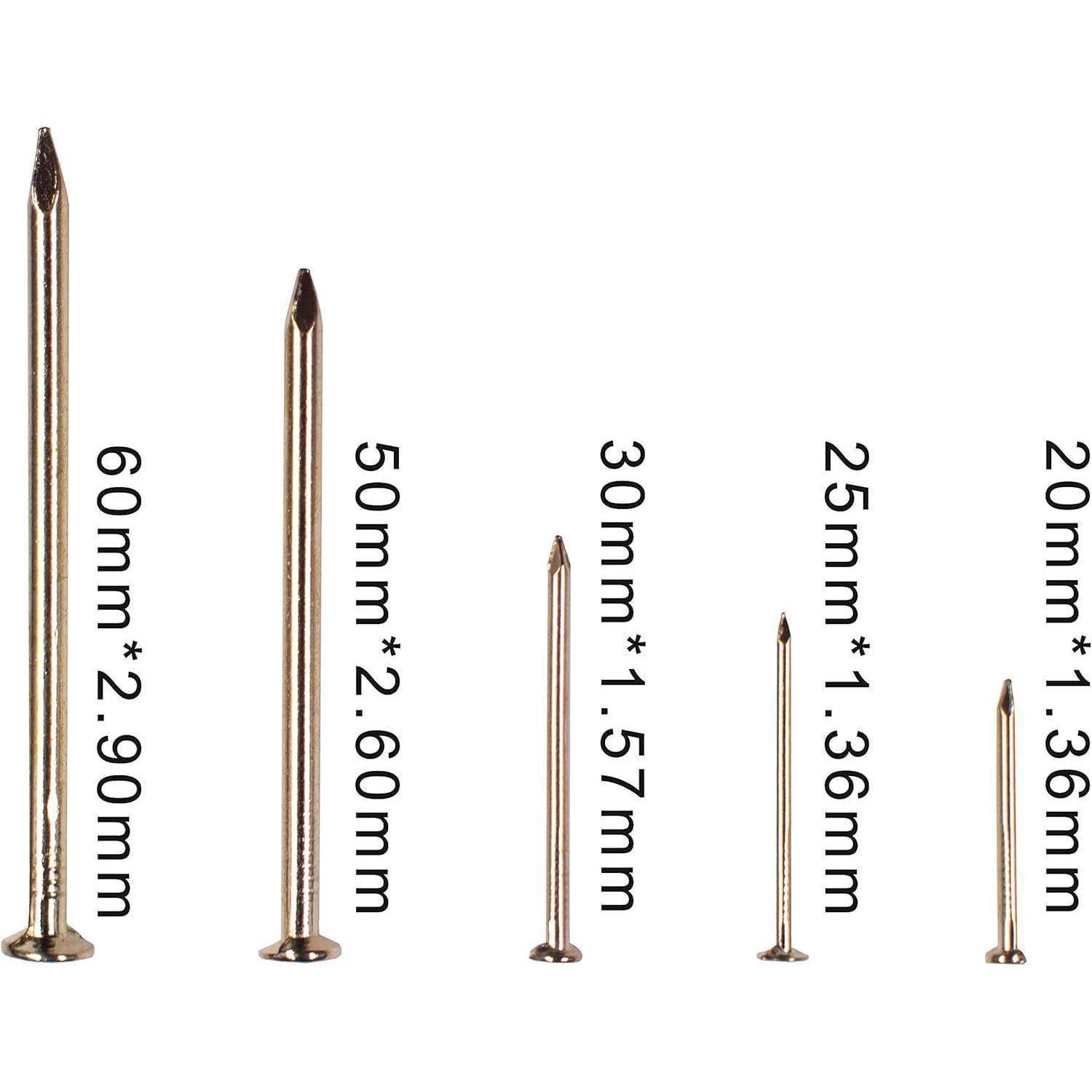 Fünf Metallnägel unterschiedlicher Längen und Durchmesser werden nebeneinander angezeigt und sind mit 60mm, 50mm, 30mm, 25mm und 20mm beschriftet.
