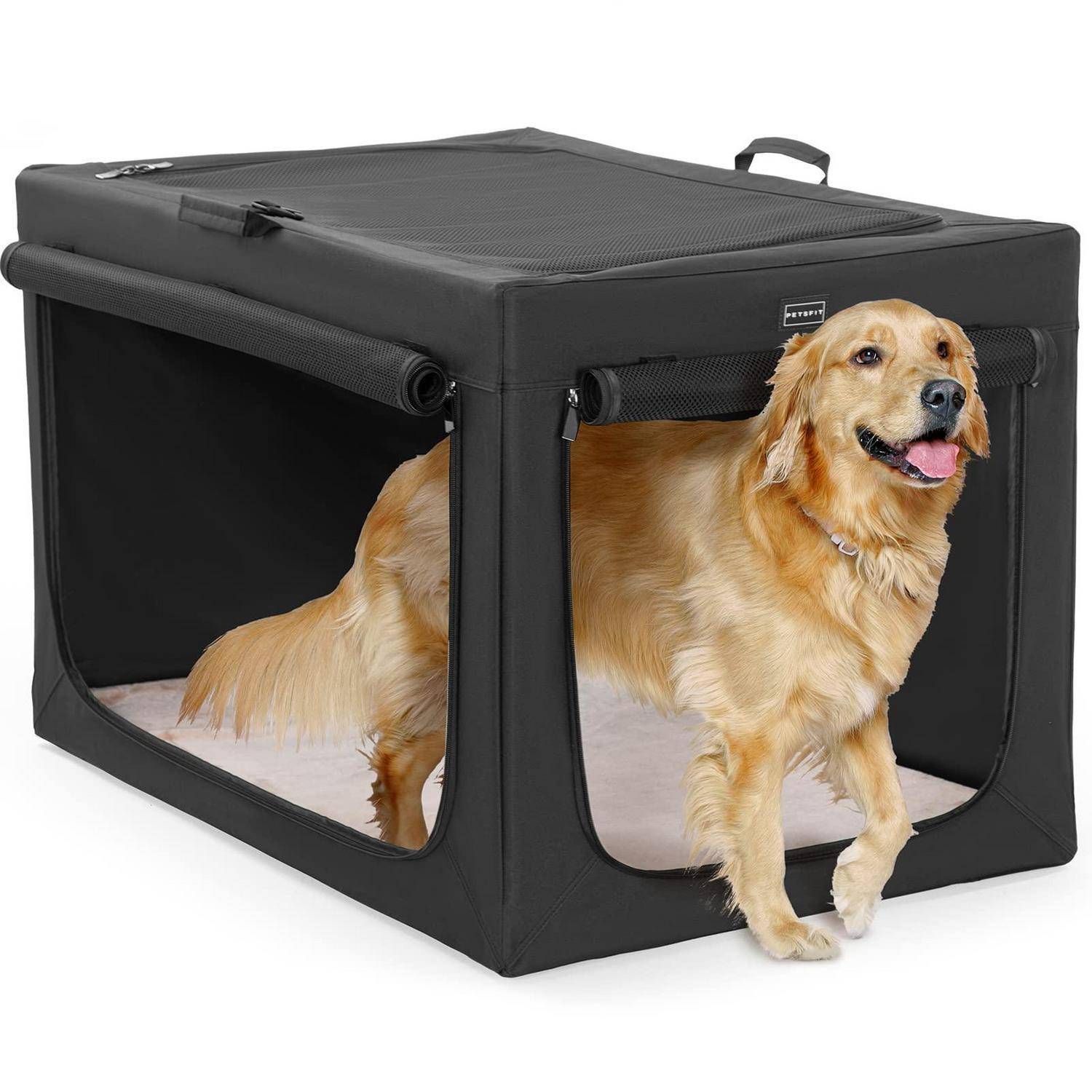Golden Retriever, der in einer schwarzen Transportbox mit Reißverschluss, weichen Seitenwänden, Netzöffnungen und gepolstertem Dach steht.