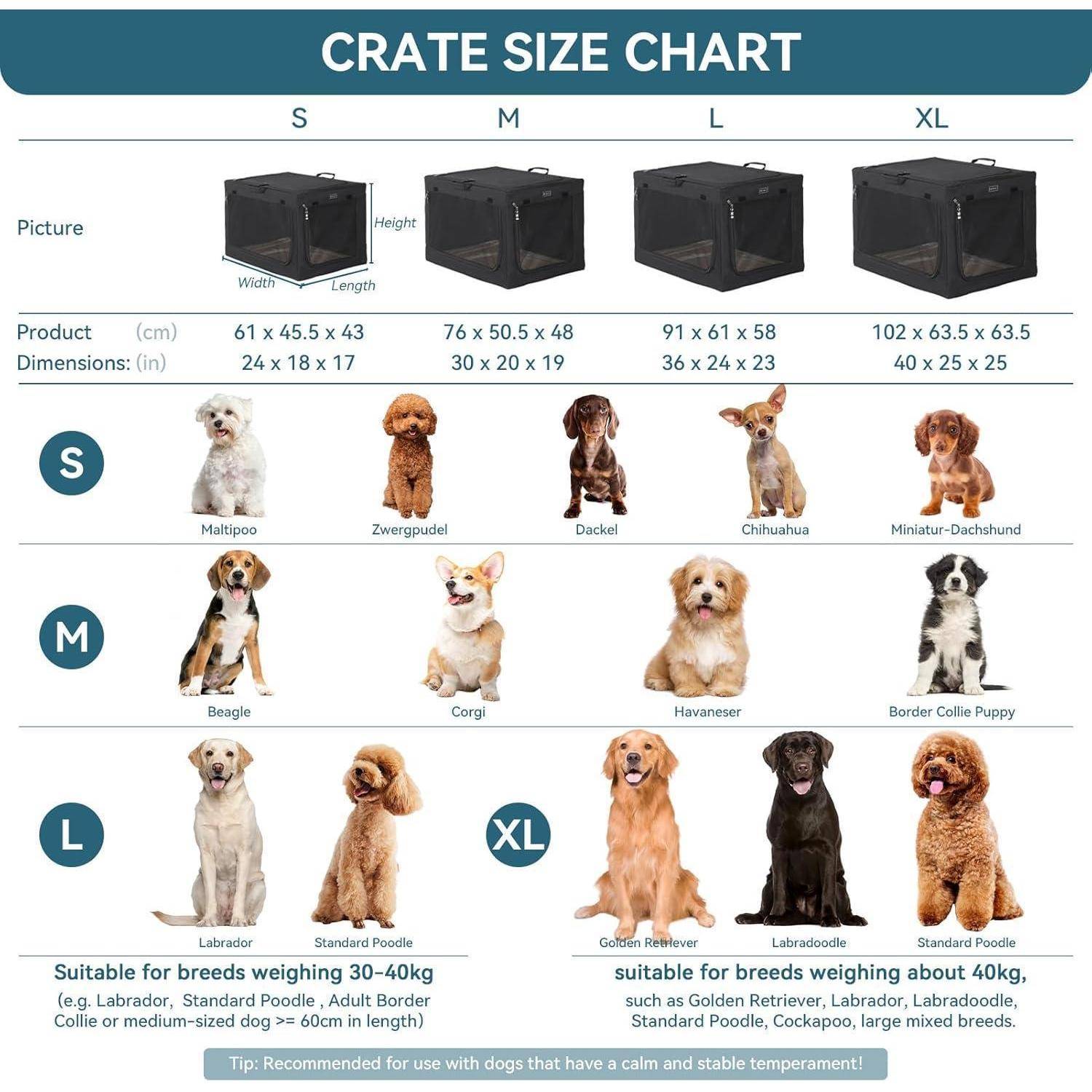 Hundebox-Größentabelle mit S, M, L und XL Boxen mit Abmessungen und Empfehlungen für Hunderassen nach Gewicht, von kleinen Rassen wie Maltipoo bis zu großen Rassen wie Labrador und Golden Retriever.