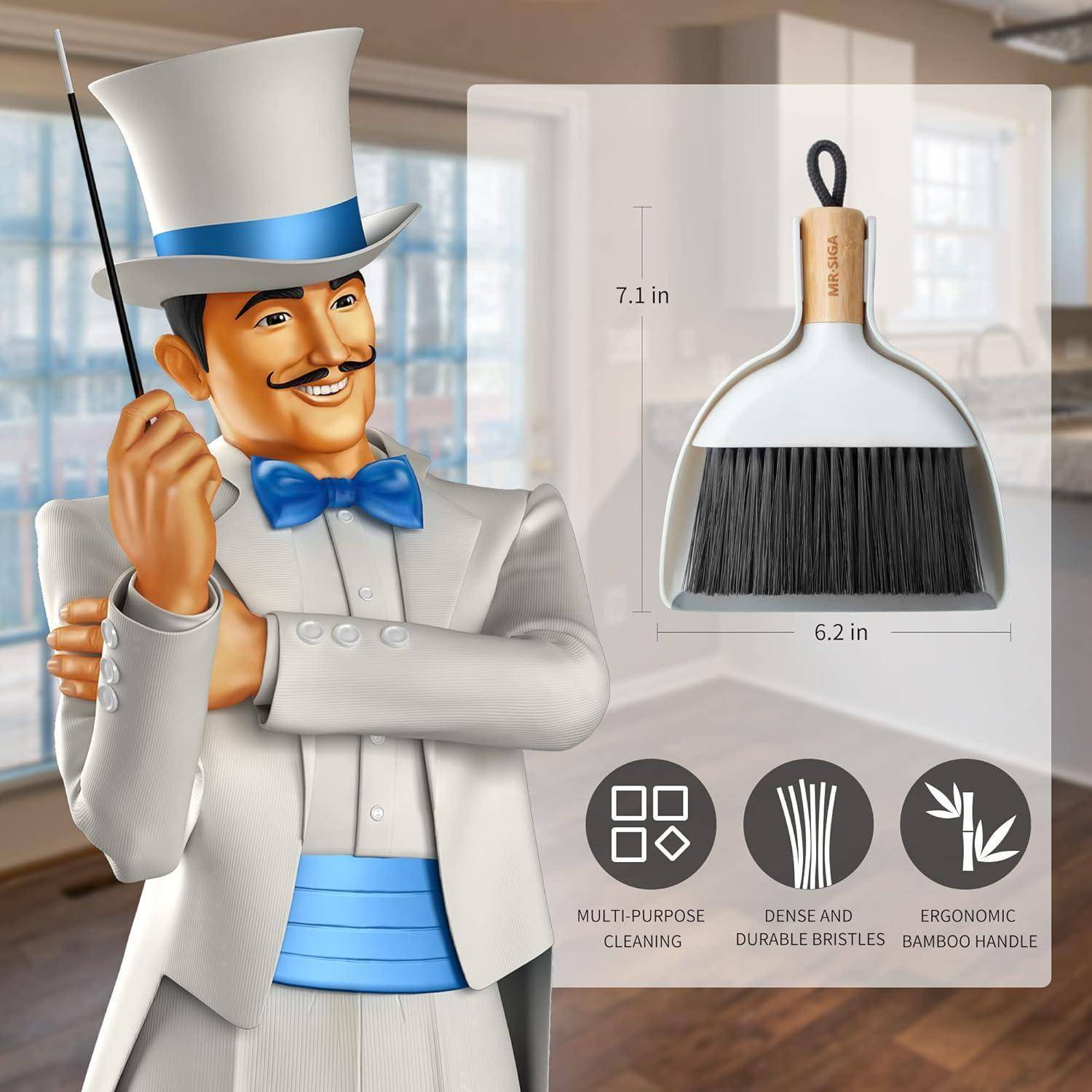 MR.SIGA Mini Kehrschaufel und Bürste Set, Tragbare Reiniqungsbürste und Kehrschaufel Combo mit Bambusgriff, Weiß, 1 Set